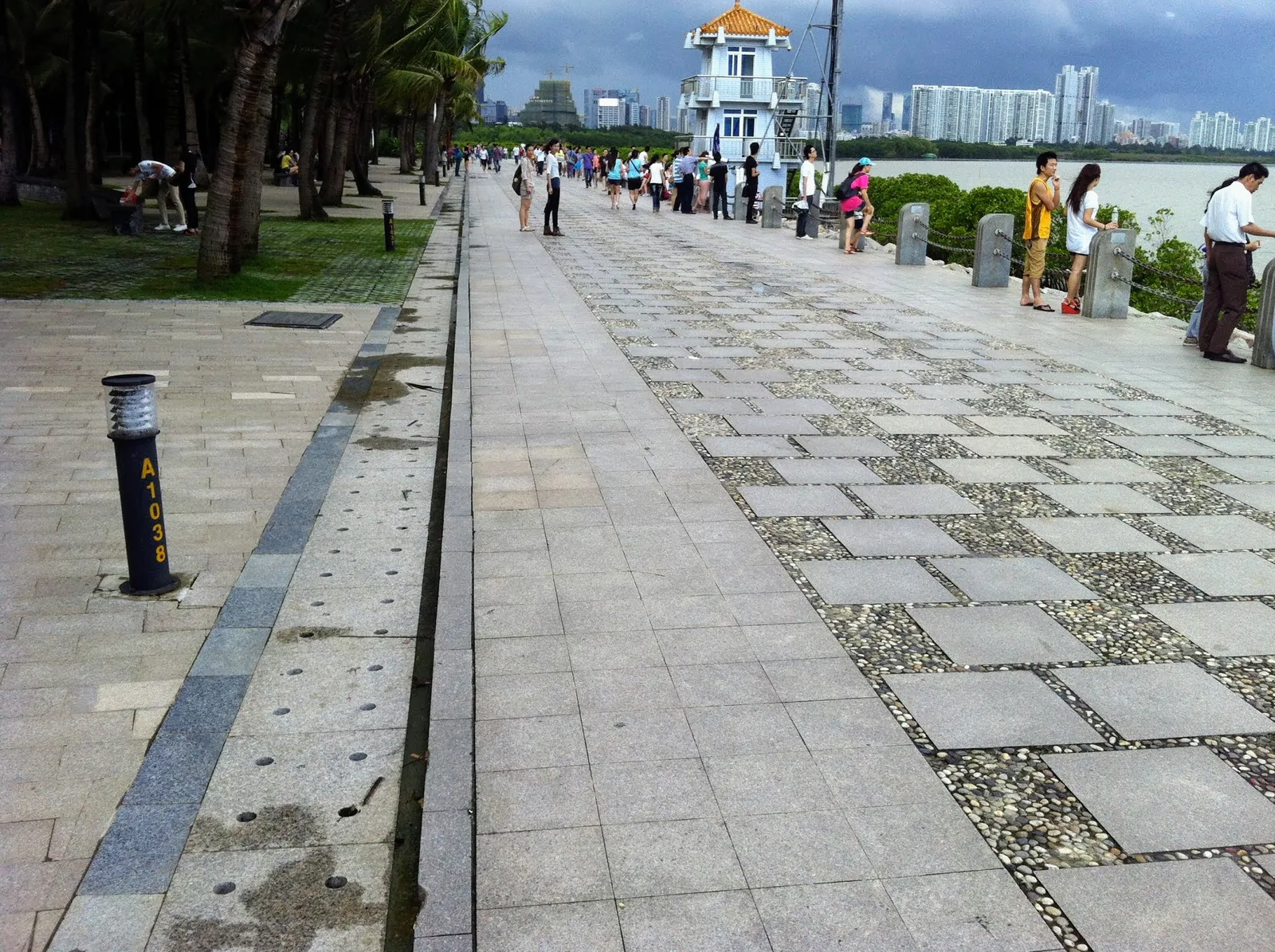 Atmosphere at Mangrove Lin Haibin Park Shenzhen — travel photo
