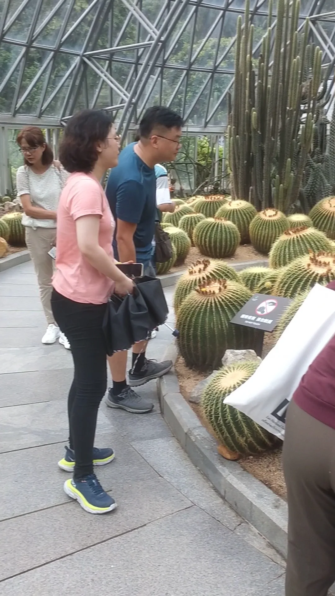 Interior at 仙湖植物园 Shenzhen — travel photo