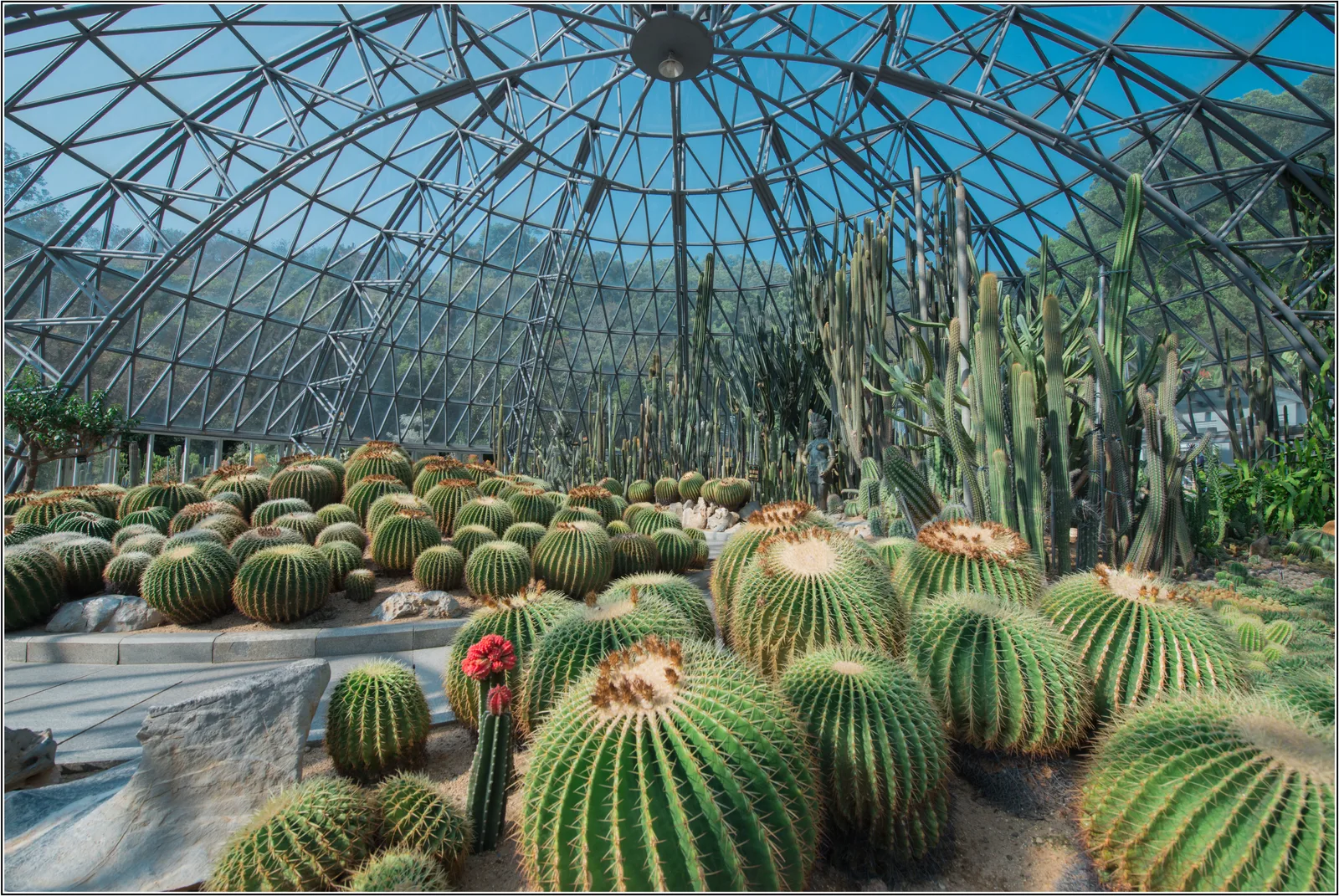 仙湖植物园
