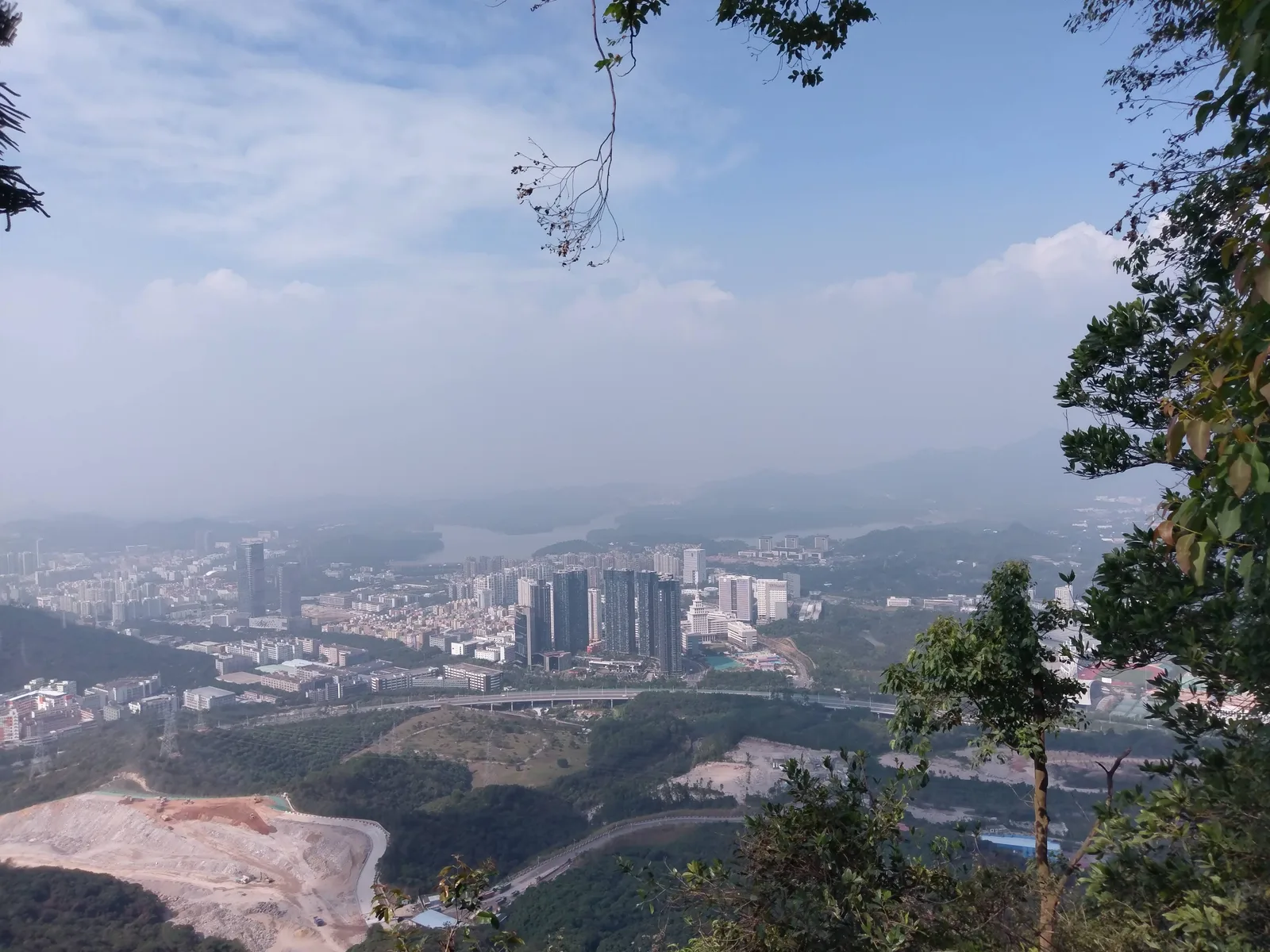 Details at 塘朗山公园 Shenzhen — travel photo