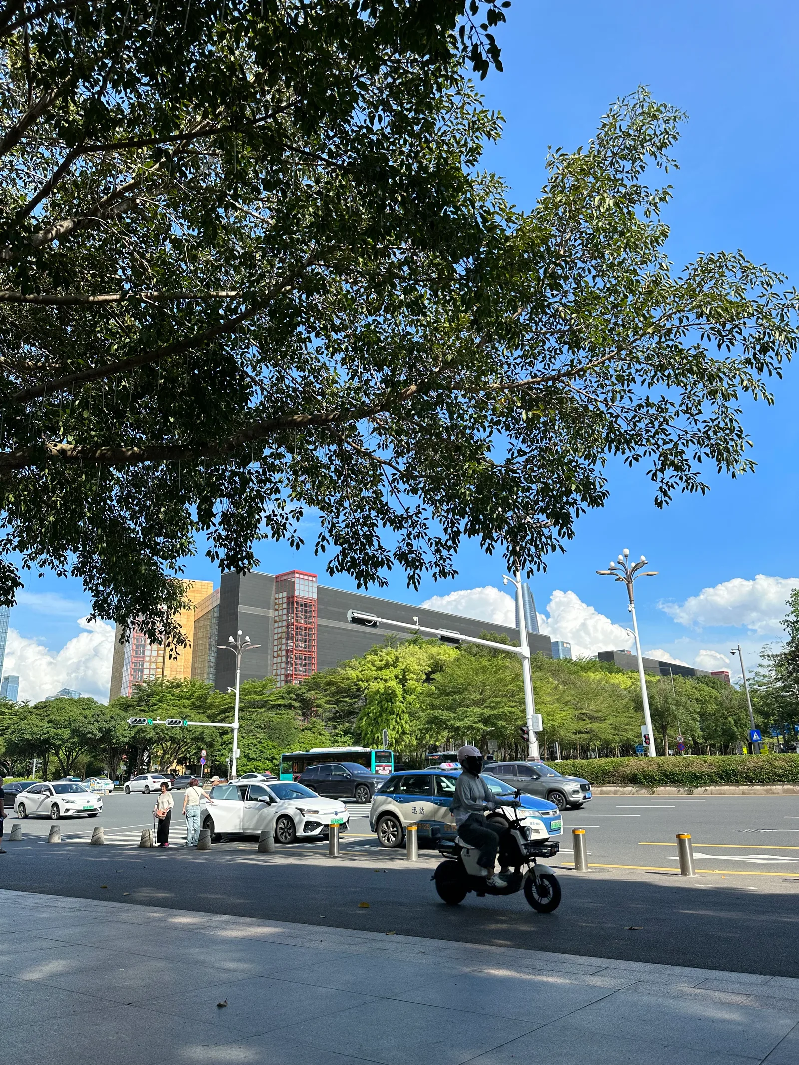 Details at 莲花山公园西门 Shenzhen — travel photo