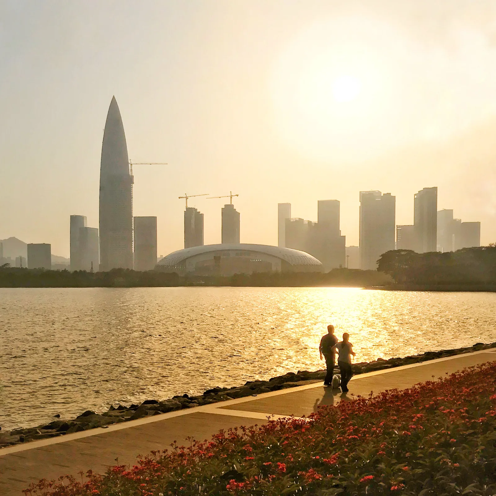 Main view at Shenzhen Bay Park North Bay Harbor （Northeast Gate） Shenzhen — travel photo