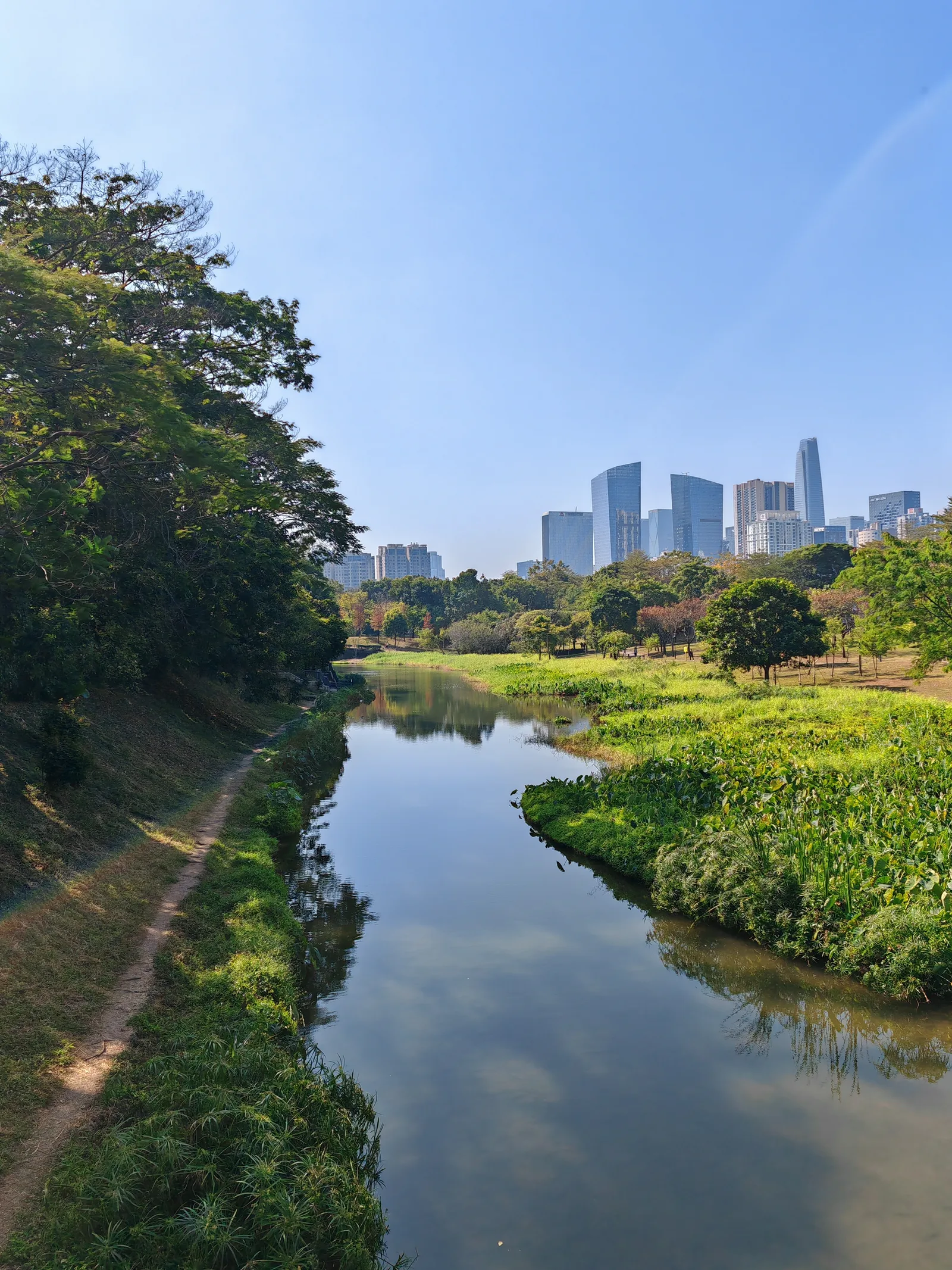 Main view at Shenzhen Central Park Shenzhen — travel photo