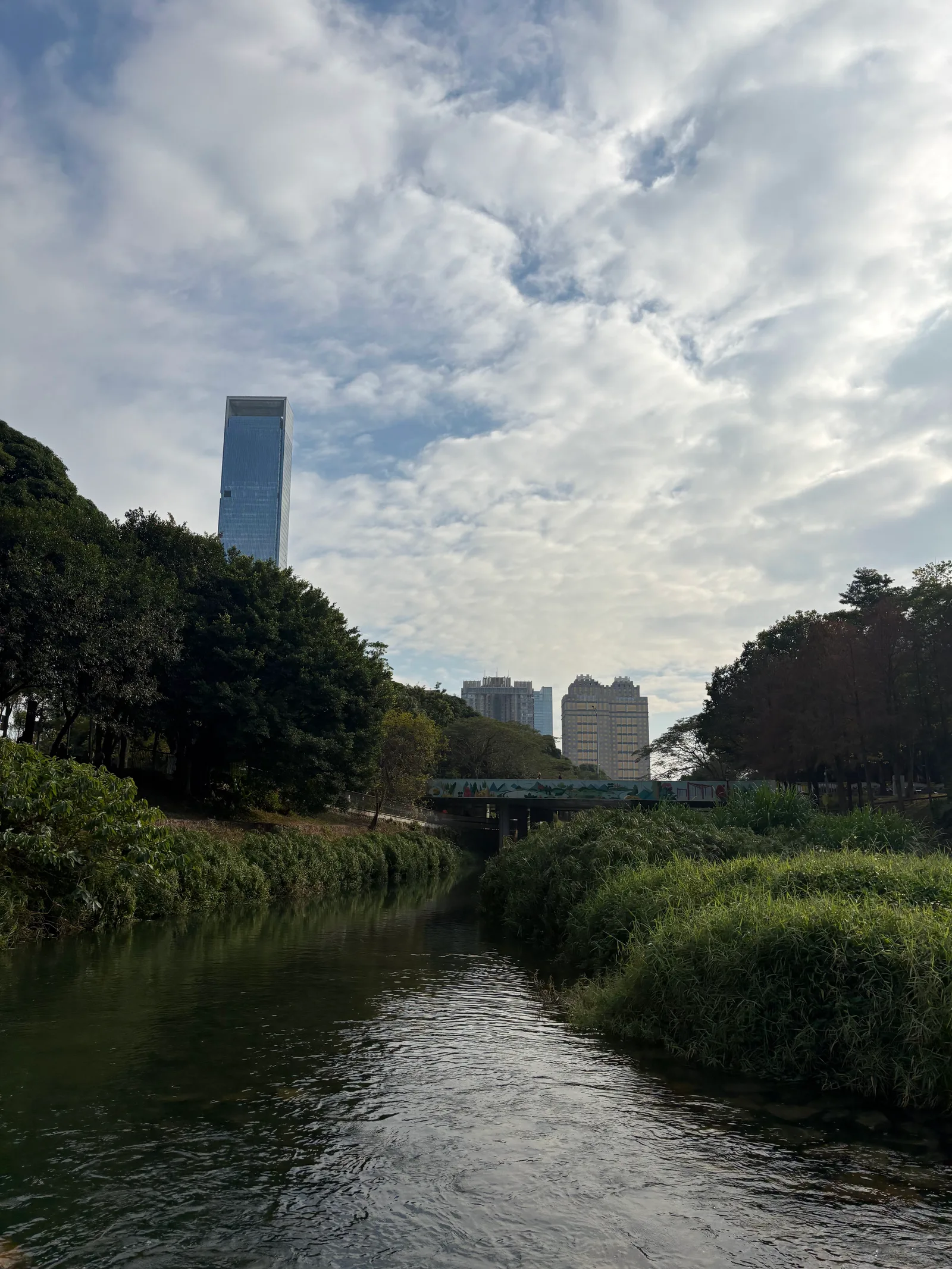 Atmosphere at Shenzhen Central Park Shenzhen — travel photo