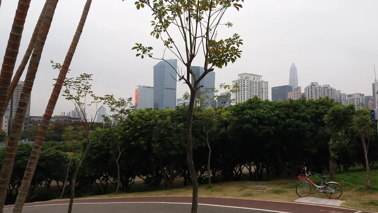 Atmosphere at Shenzhen Central Park （West Gate） Shenzhen — travel photo