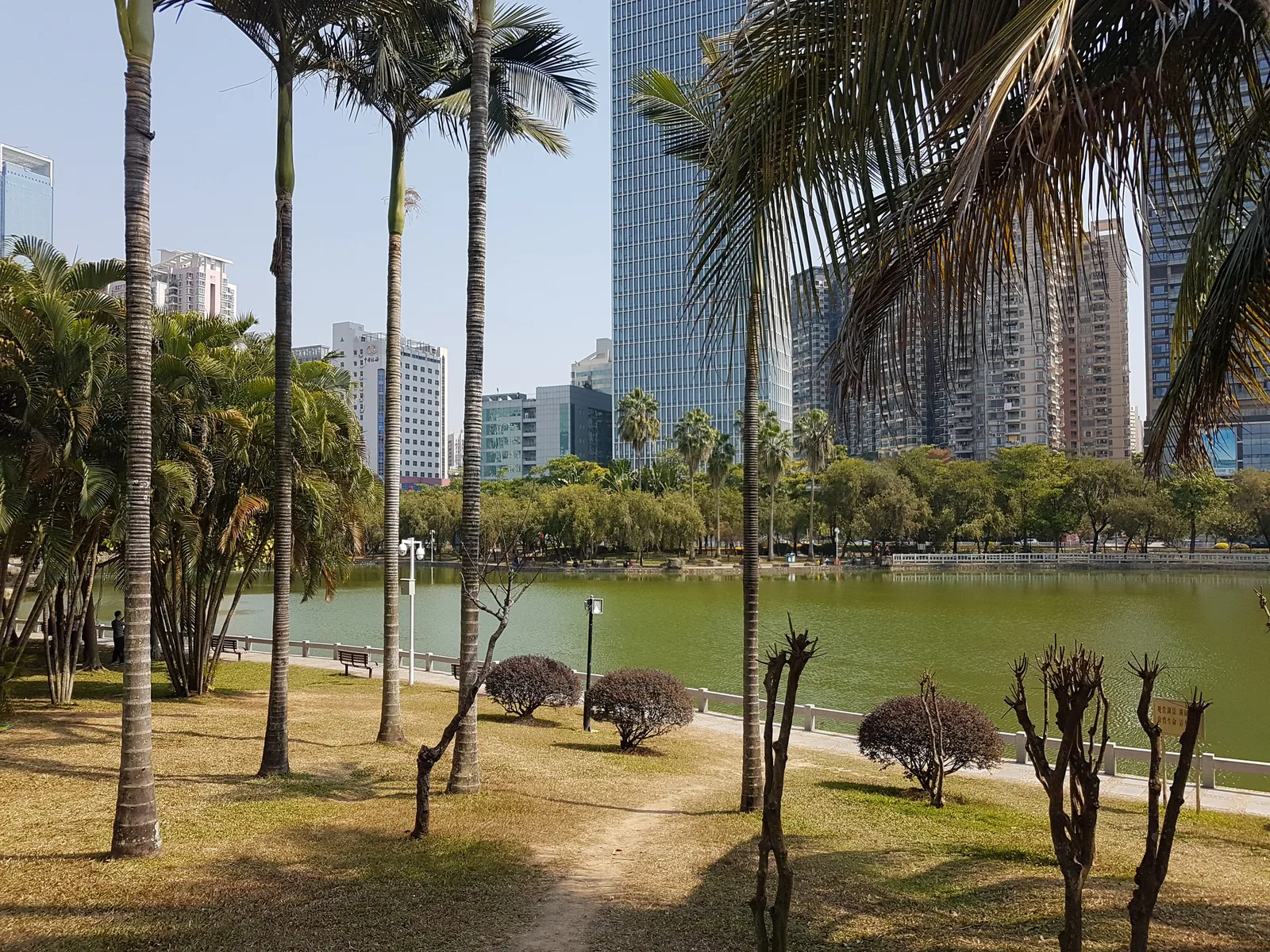 Shenzhen Central Park (West Gate) — budget guide Shenzhen