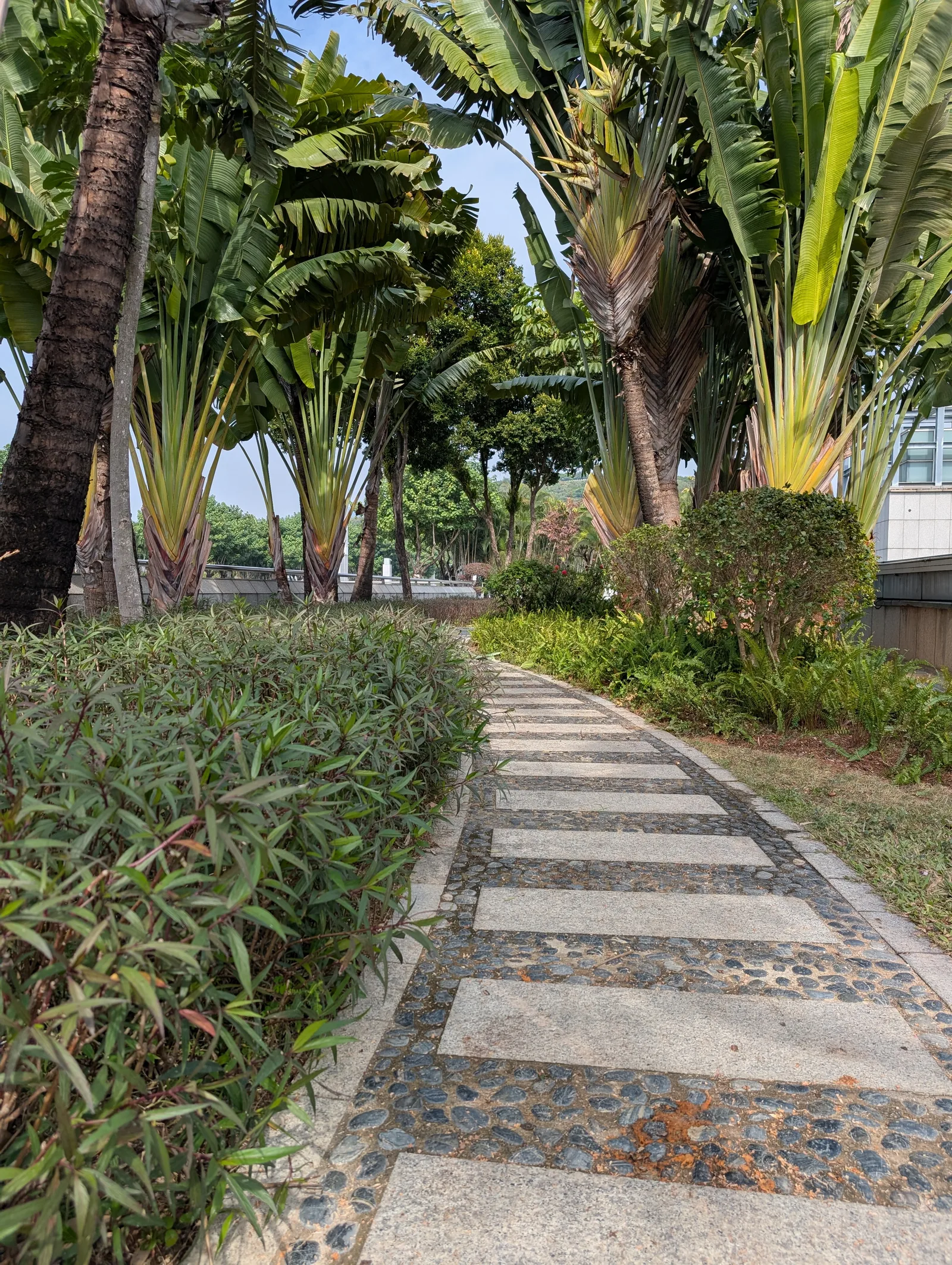 Interior at Shenzhen Children's Palace Shenzhen — travel photo