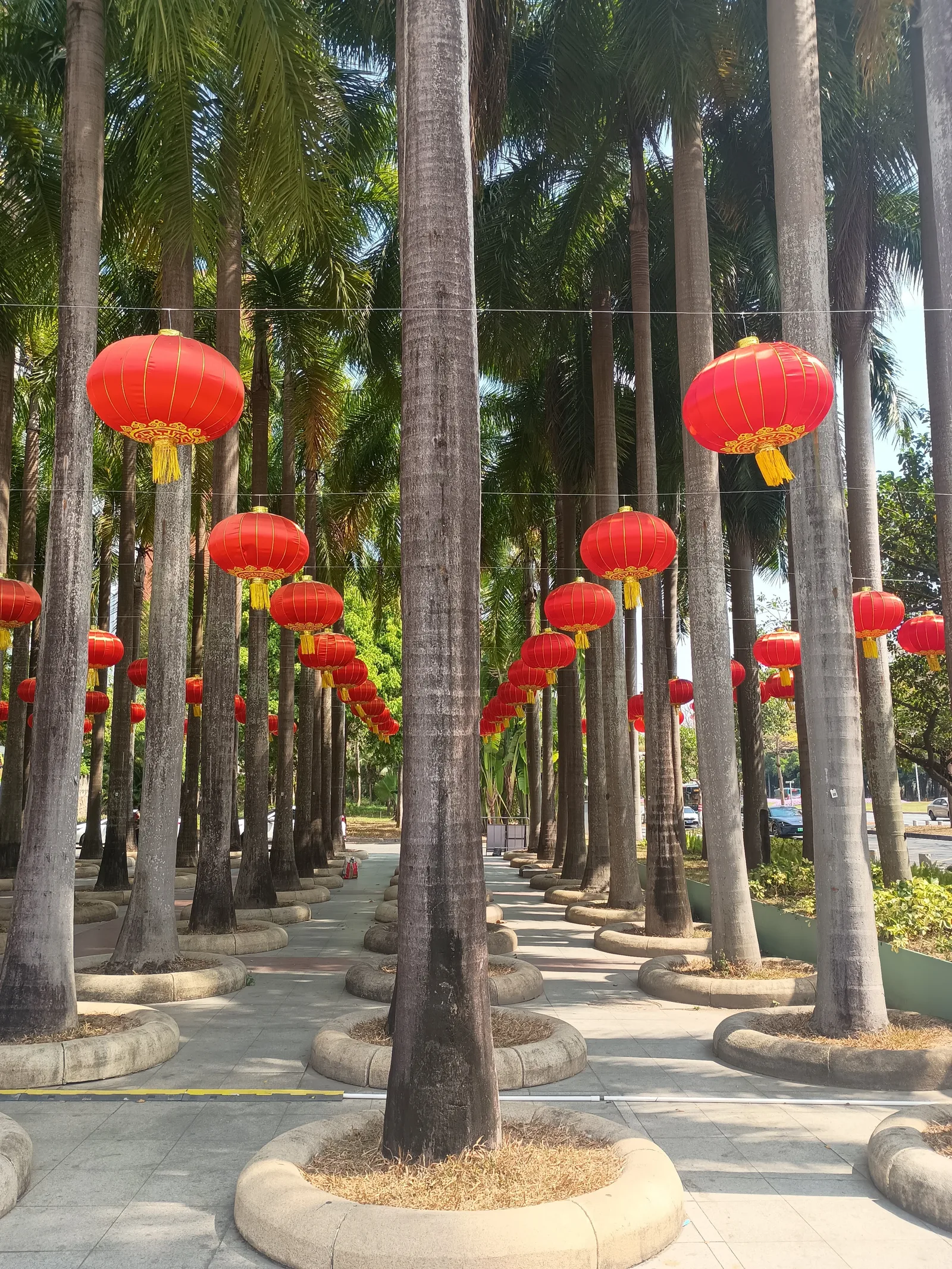 Interior at Shenzhen International Garden and Flower Expo Park Shenzhen — travel photo
