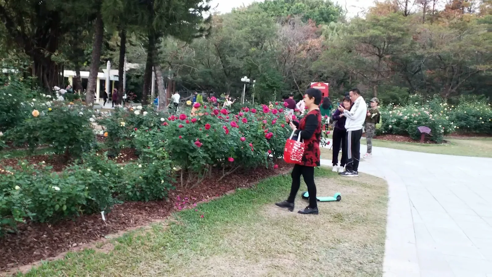 Main view at Shenzhen People's Park （North Gate） Shenzhen — travel photo