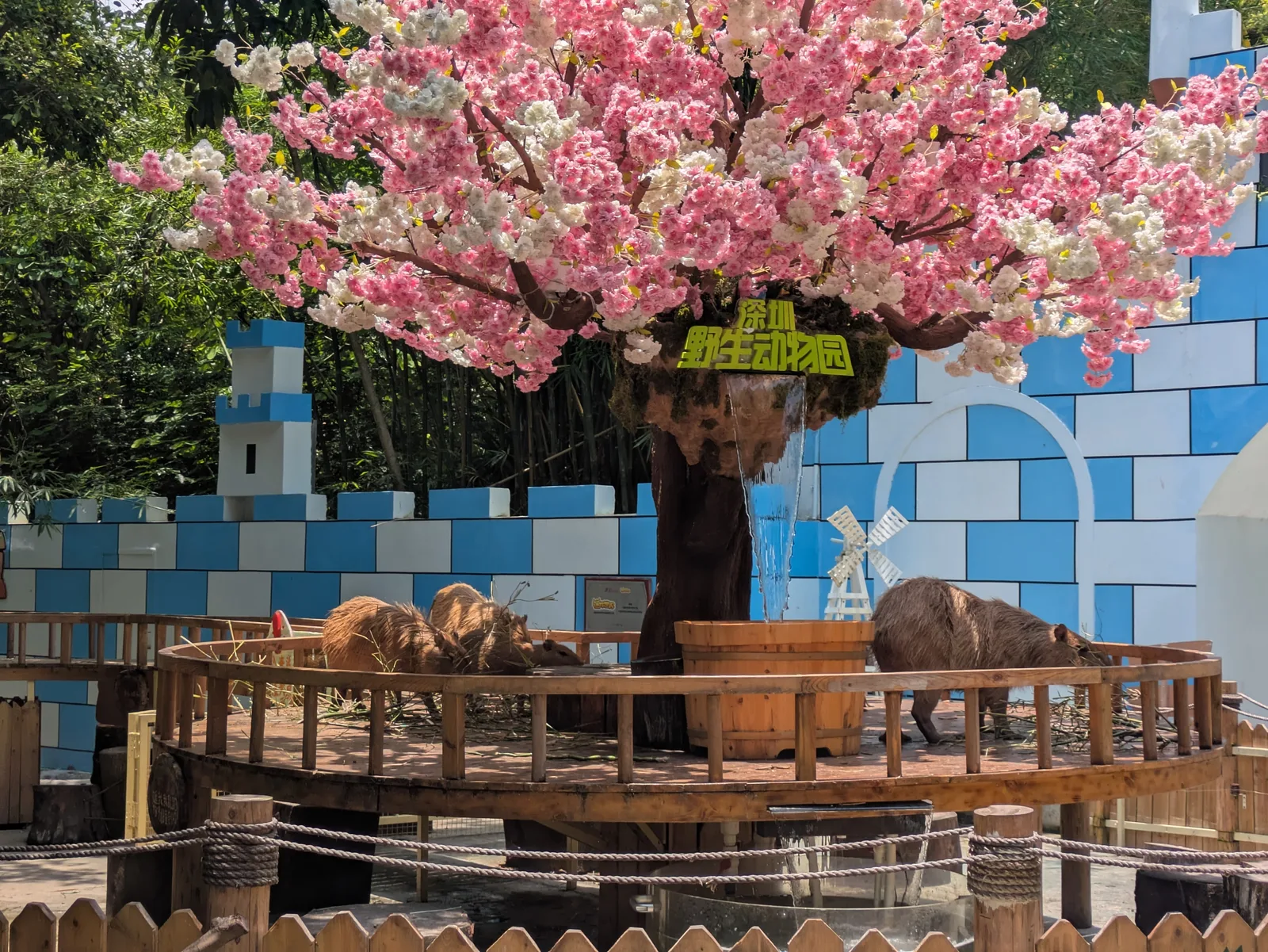 Shenzhen Safari Park