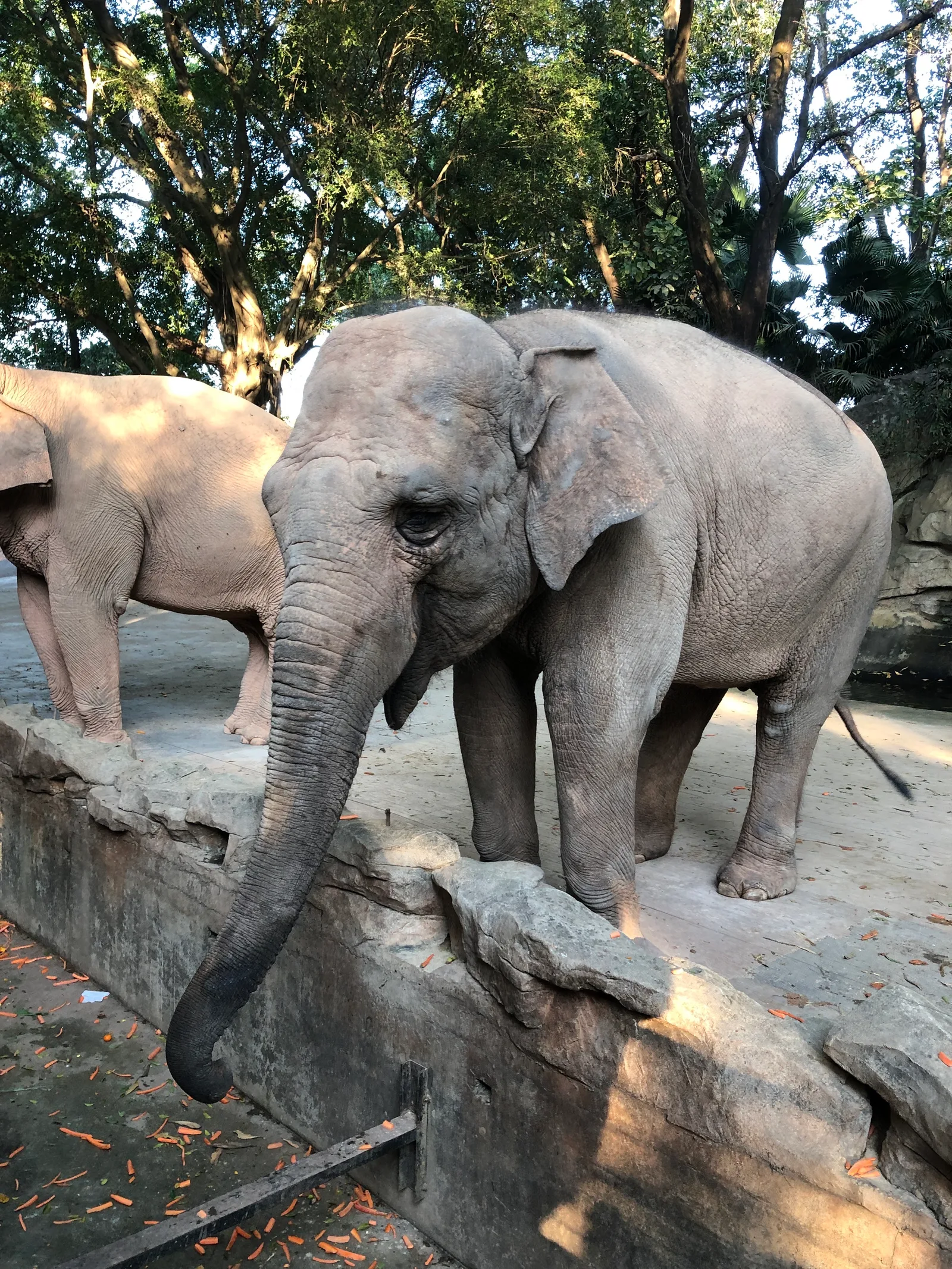 Details at Shenzhen Wild Animal Zoo （West Gate） Shenzhen — travel photo