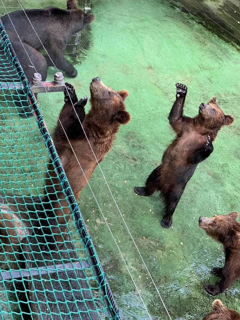 Shenzhen Wild Animal Zoo (West Gate) in Shenzhen
