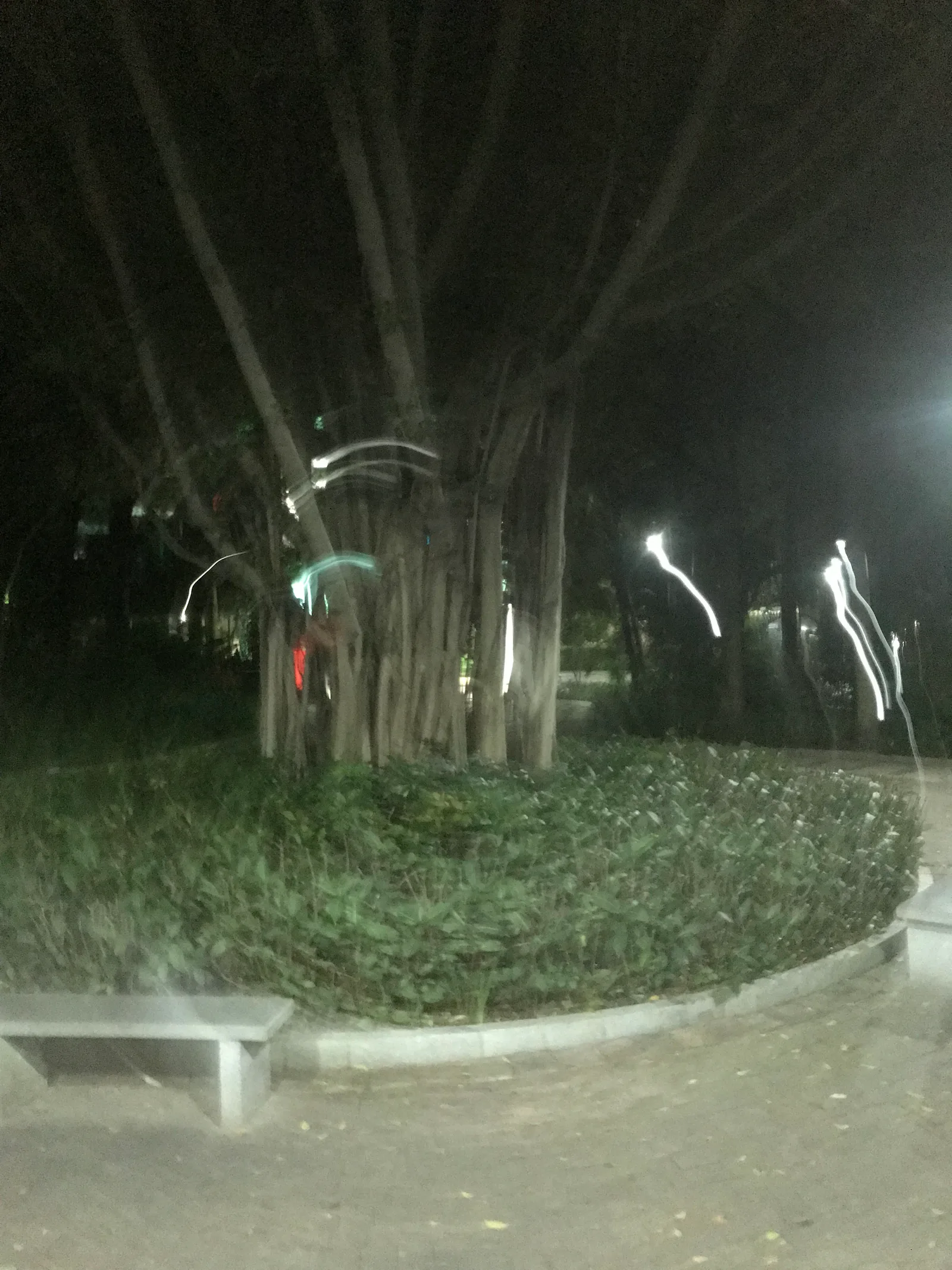 Atmosphere at Shixia North 7th Street Park Shenzhen — travel photo