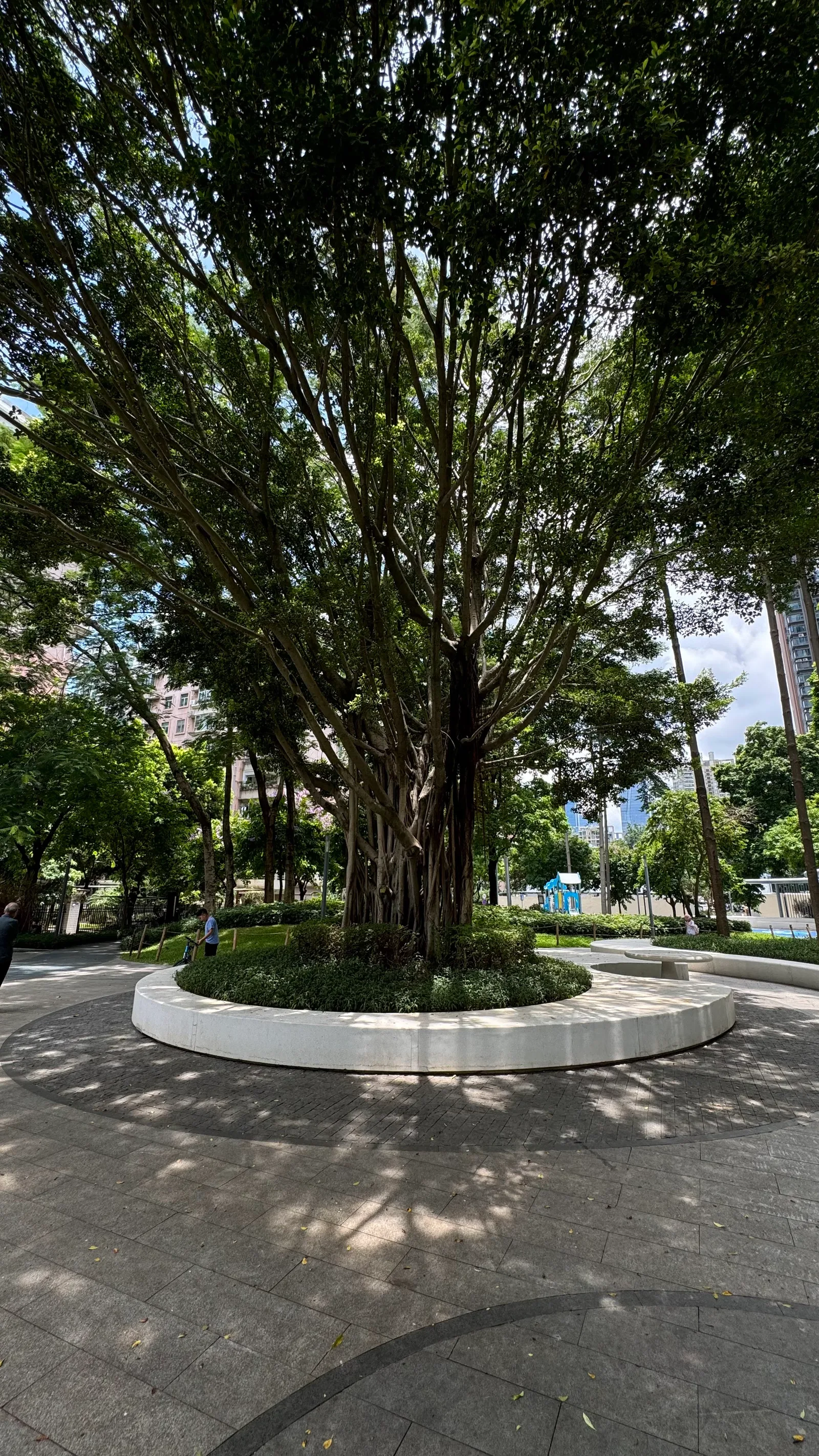 Shixia North 7th Street Park