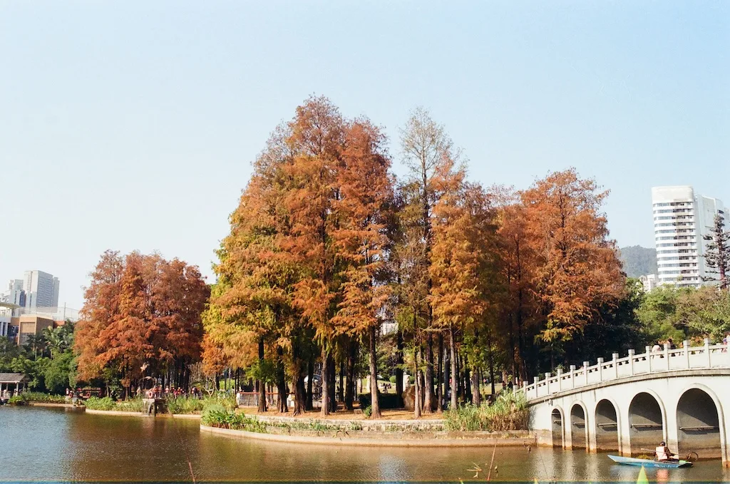 Interior at Sihai Park （North Gate） Shenzhen — travel photo