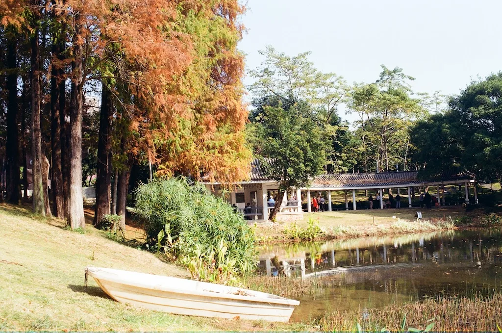Details at Sihai Park （North Gate） Shenzhen — travel photo