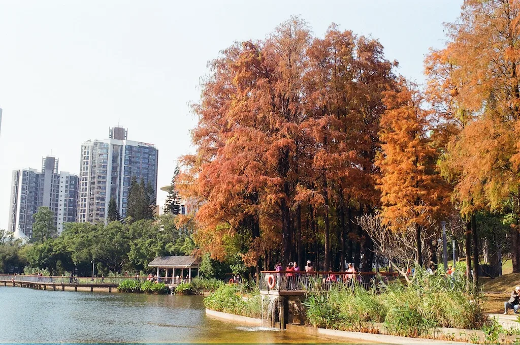 Atmosphere at Sihai Park （North Gate） Shenzhen — travel photo