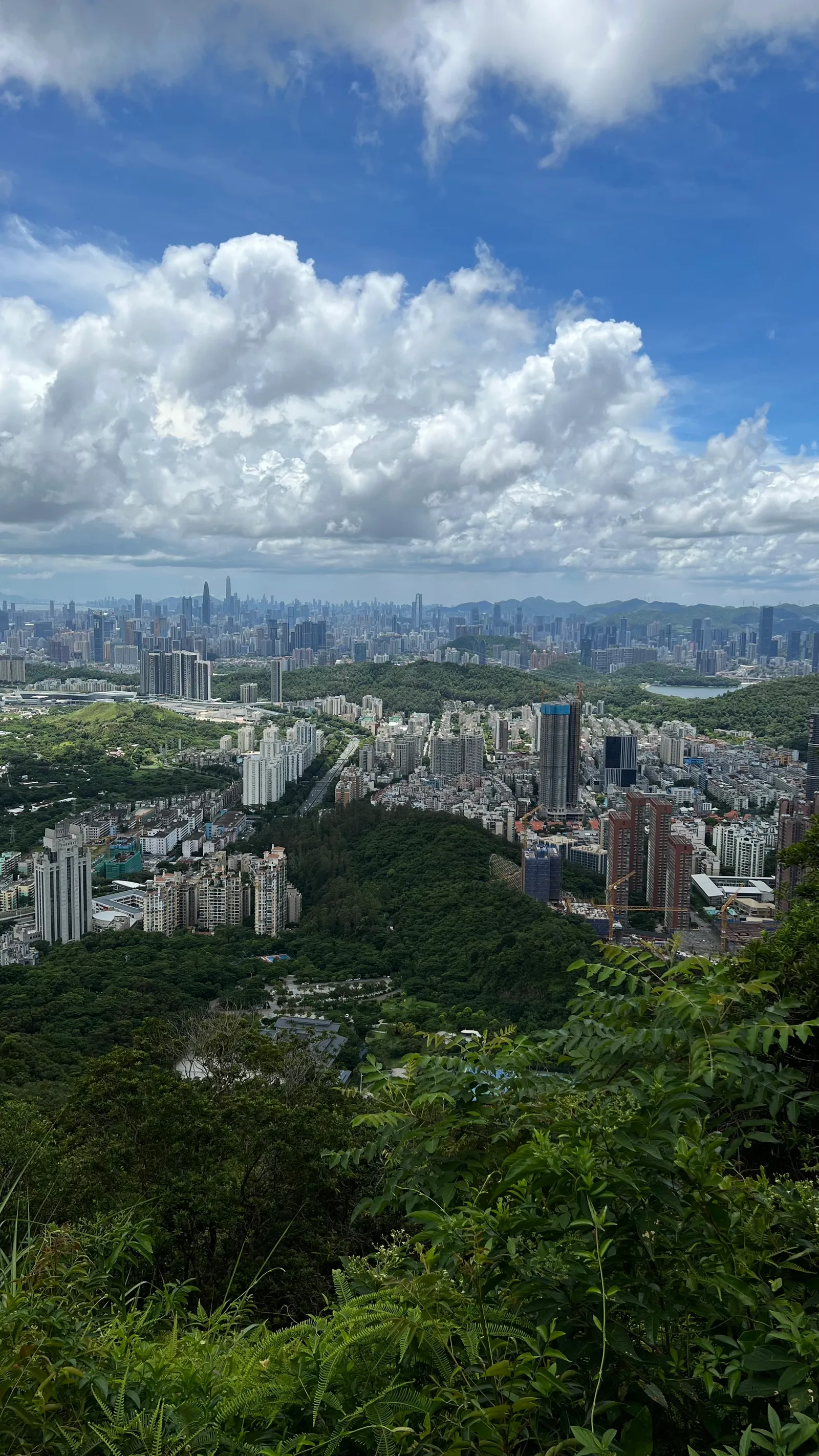 Details at Wutong Mountain （Northwest Gate） Shenzhen — travel photo