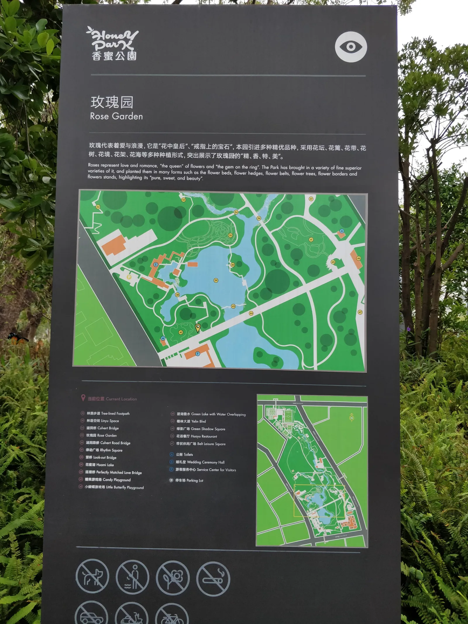 Main view at Xiangmi Park Shenzhen — travel photo