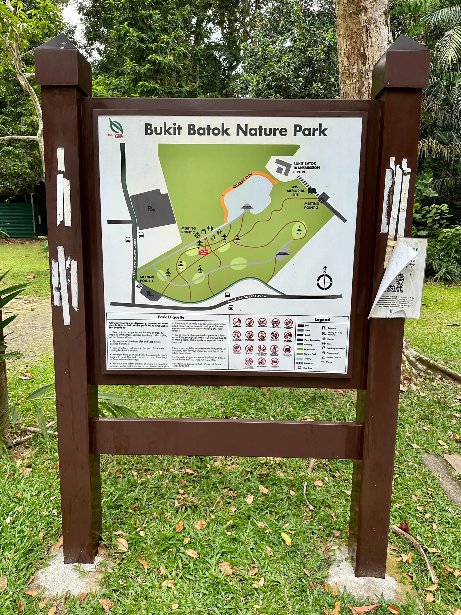 Interior at Bukit Batok Nature Park Singapore — travel photo