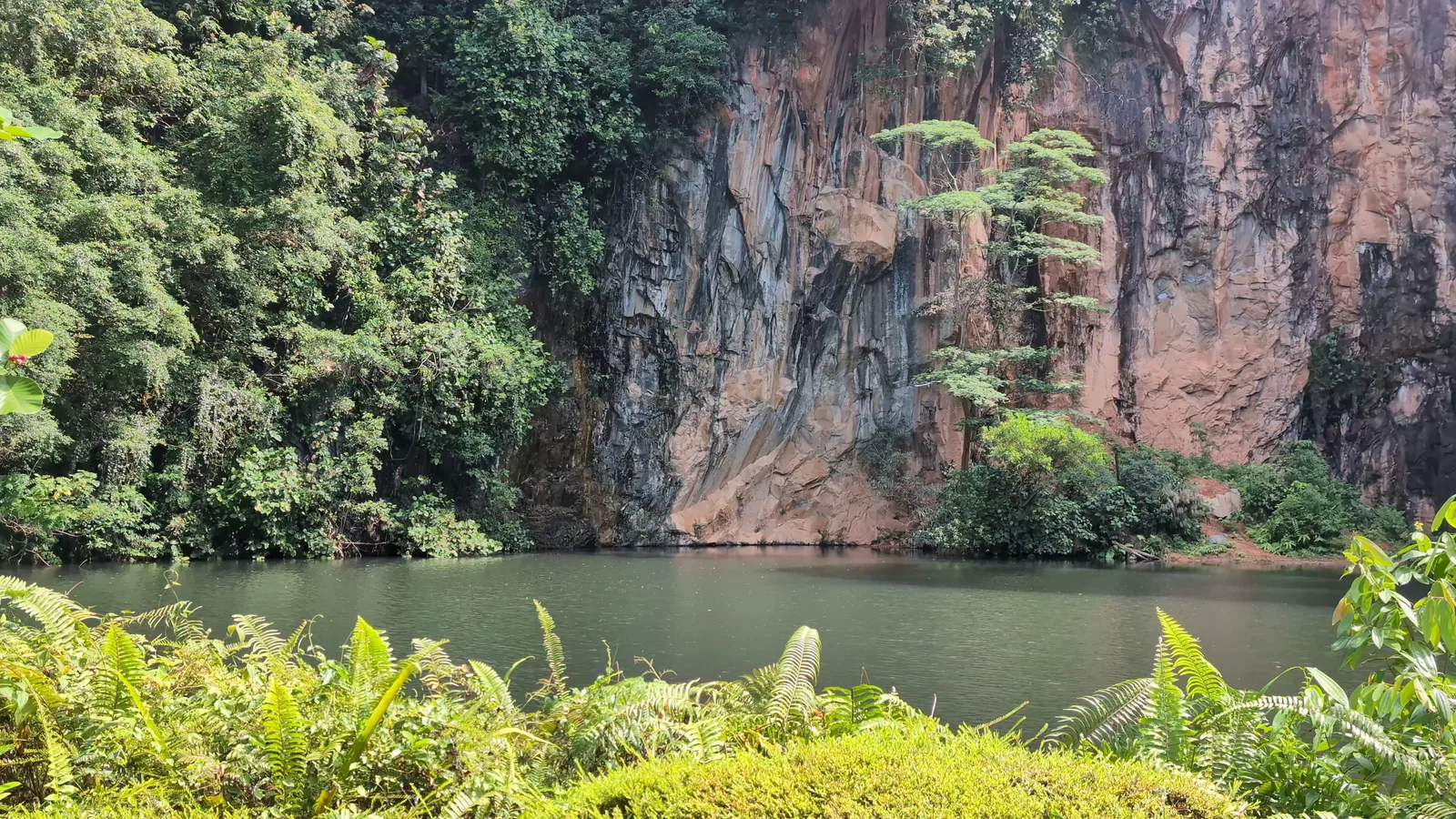 Atmosphere at Bukit Batok Nature Park Singapore — travel photo