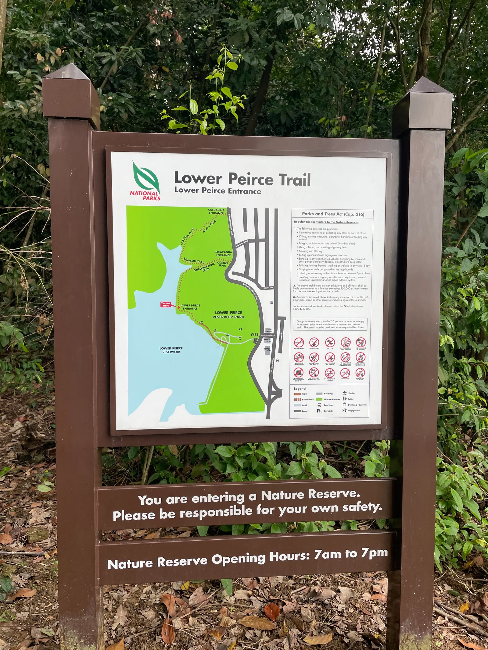 Interior at Lower Peirce Reservoir Park Singapore — travel photo