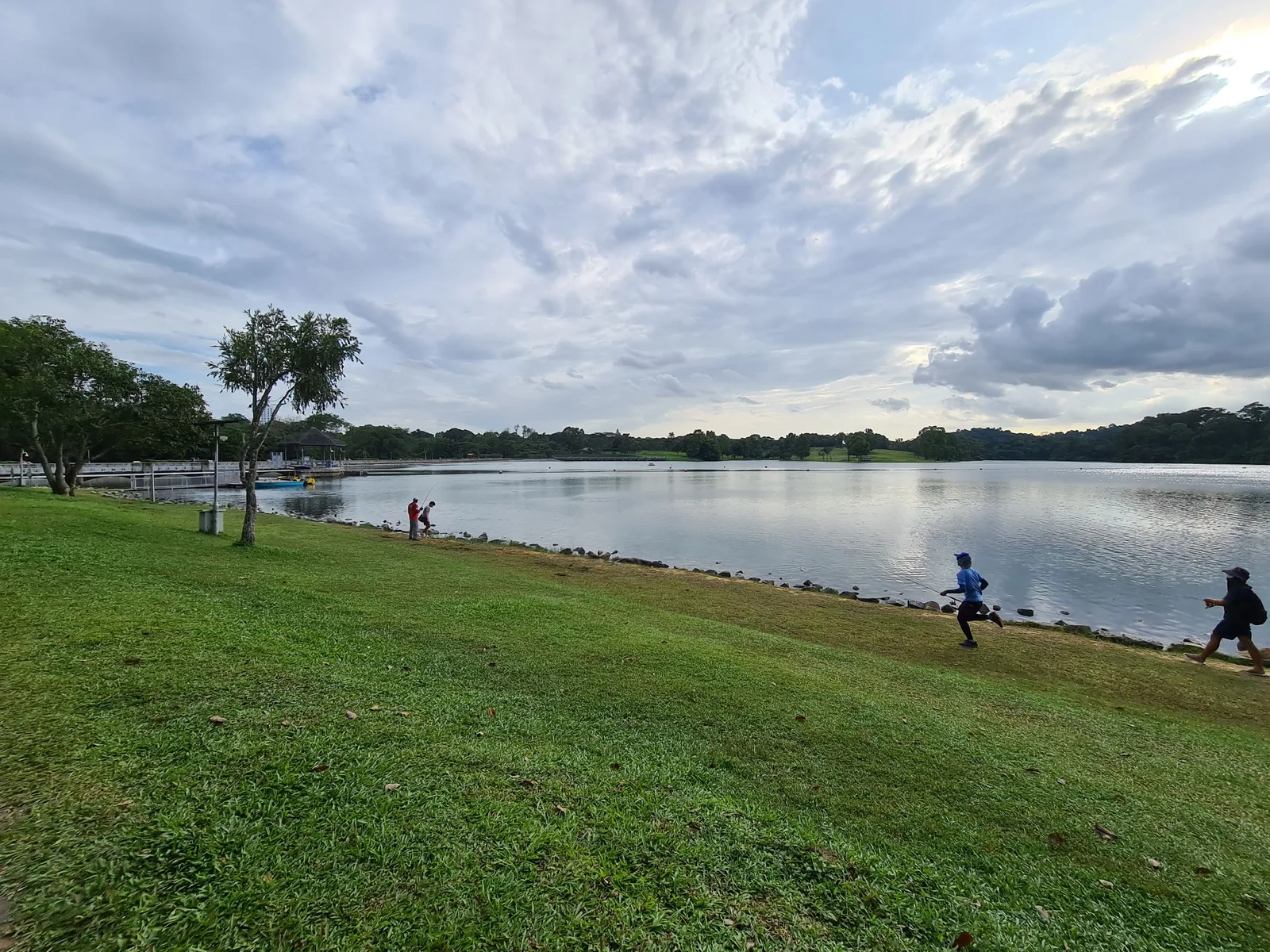 Around the area at Lower Peirce Reservoir Park Singapore — travel photo