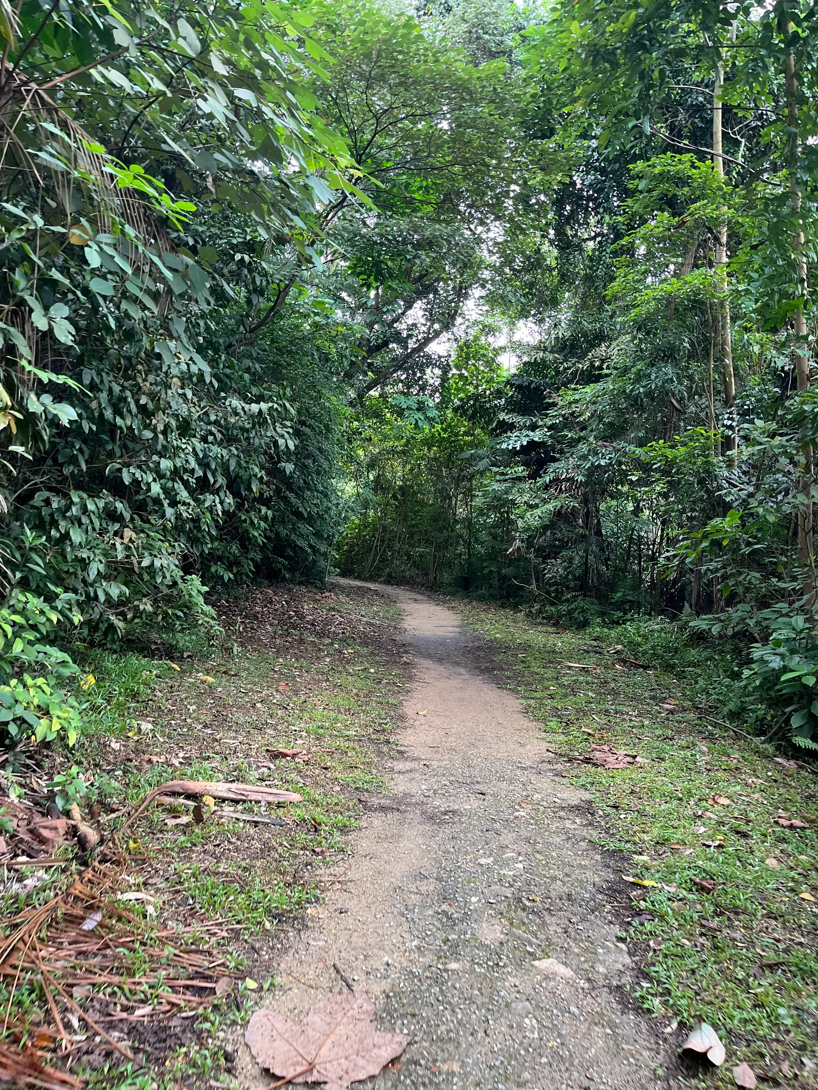 Southern Ridges