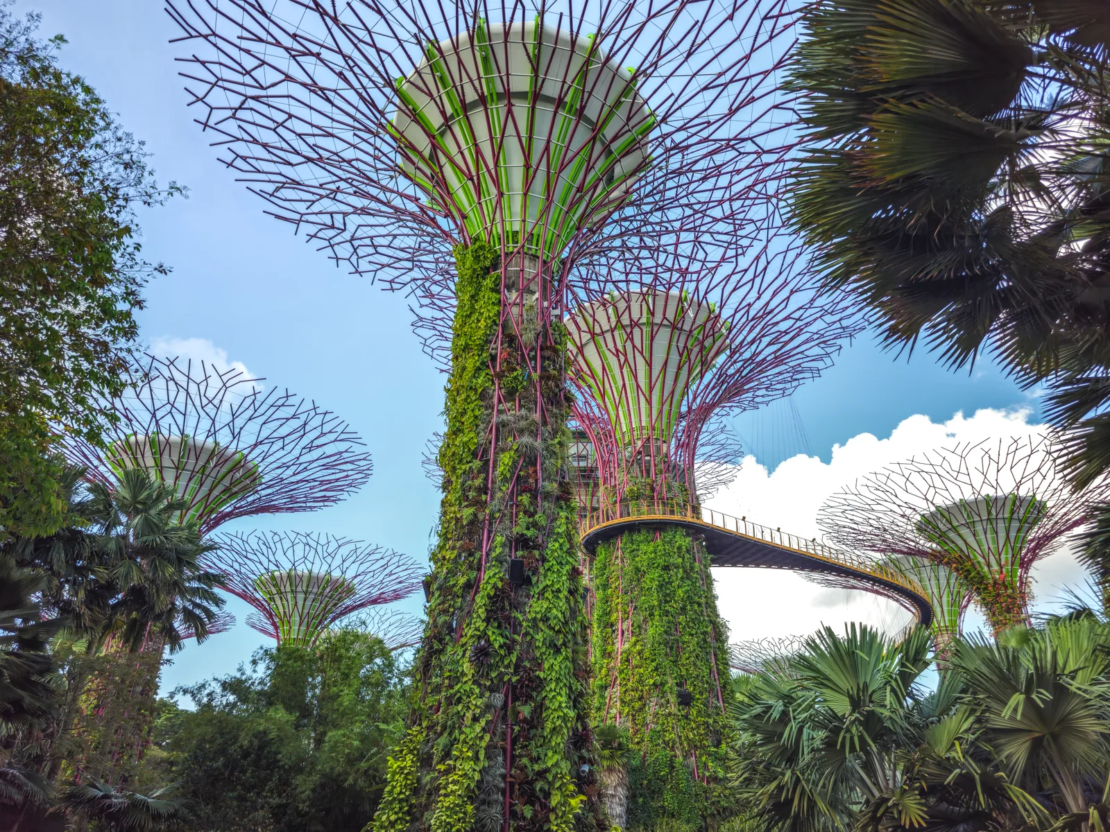 Details at Supertree Grove Singapore — travel photo
