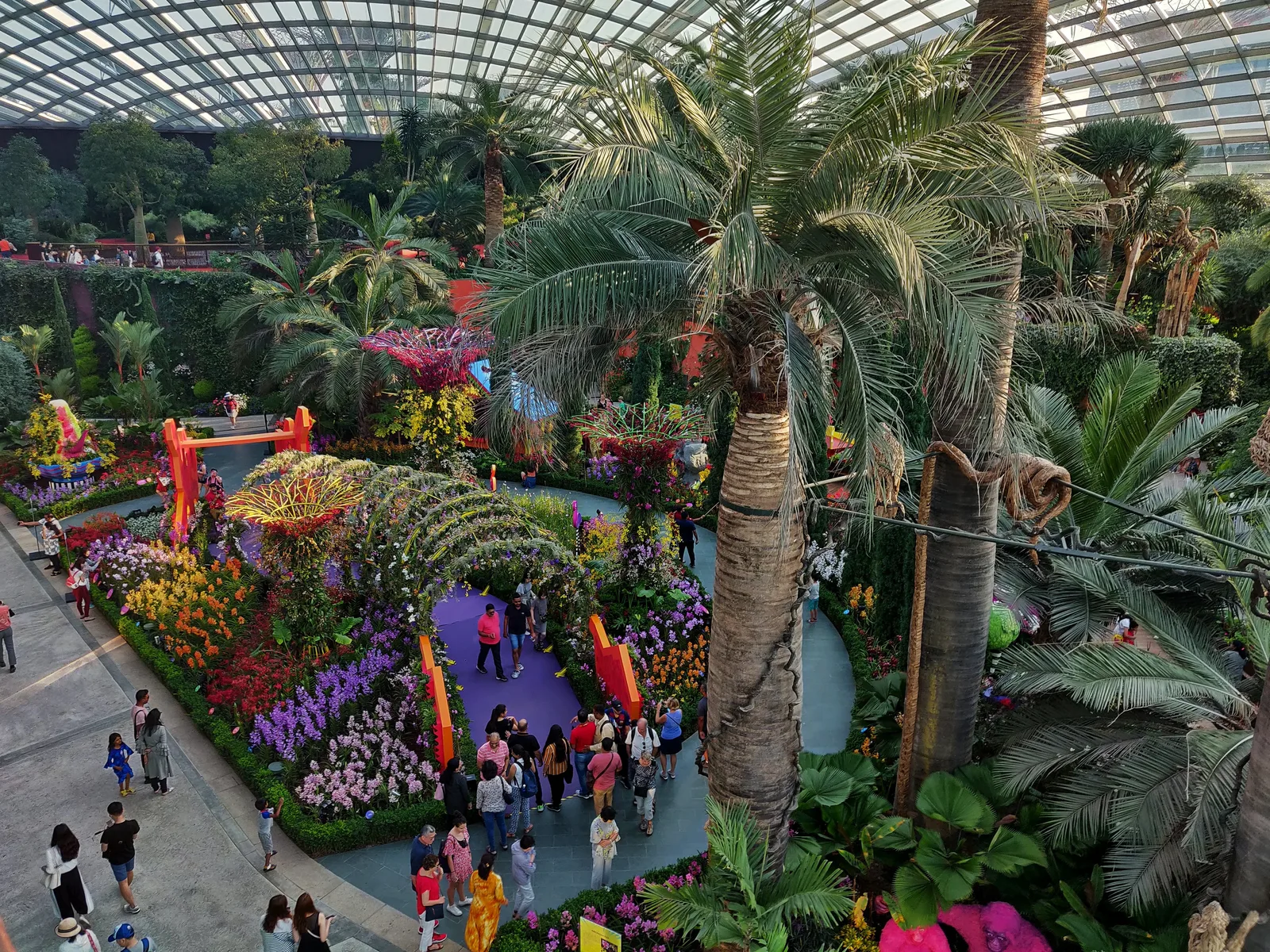 Atmosphere at Supertree Grove Singapore — travel photo