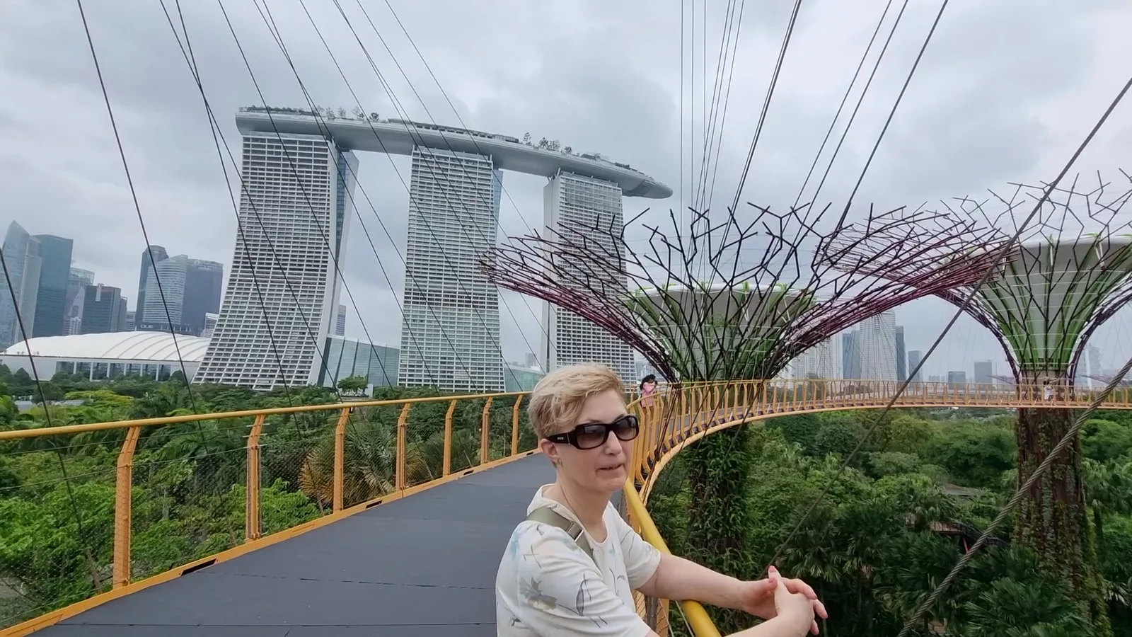 Around the area at Supertree Grove Singapore — travel photo