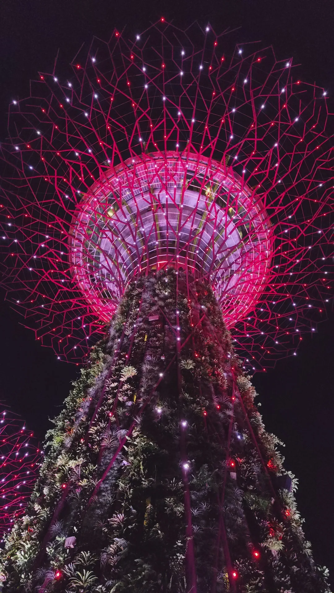 Supertree Grove — budget guide Singapore