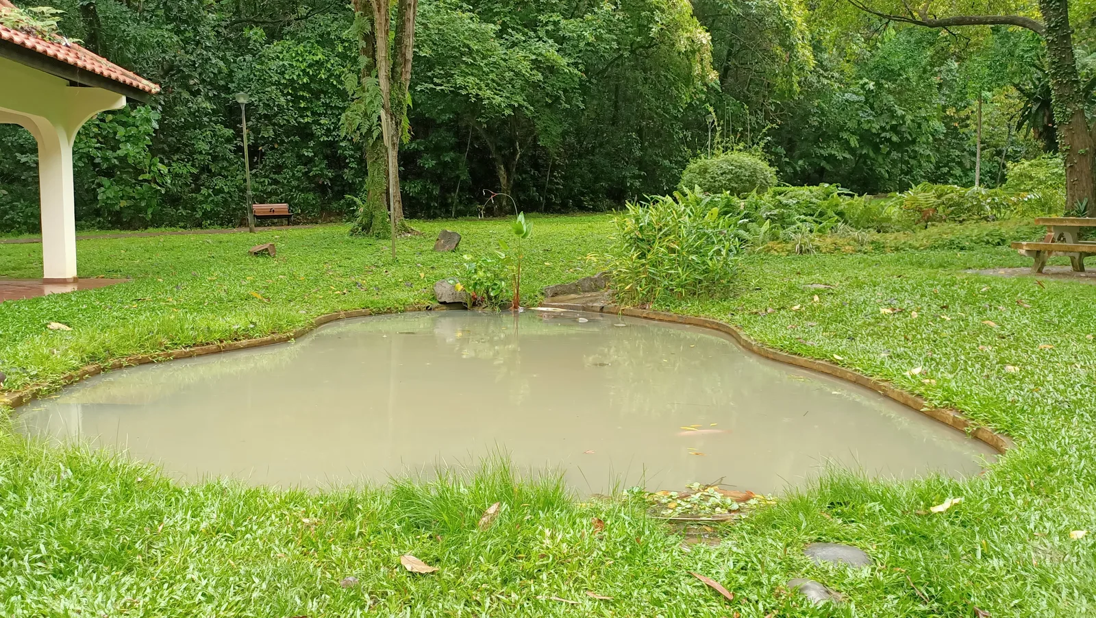 Atmosphere at Telok Blangah Hill Park Singapore — travel photo