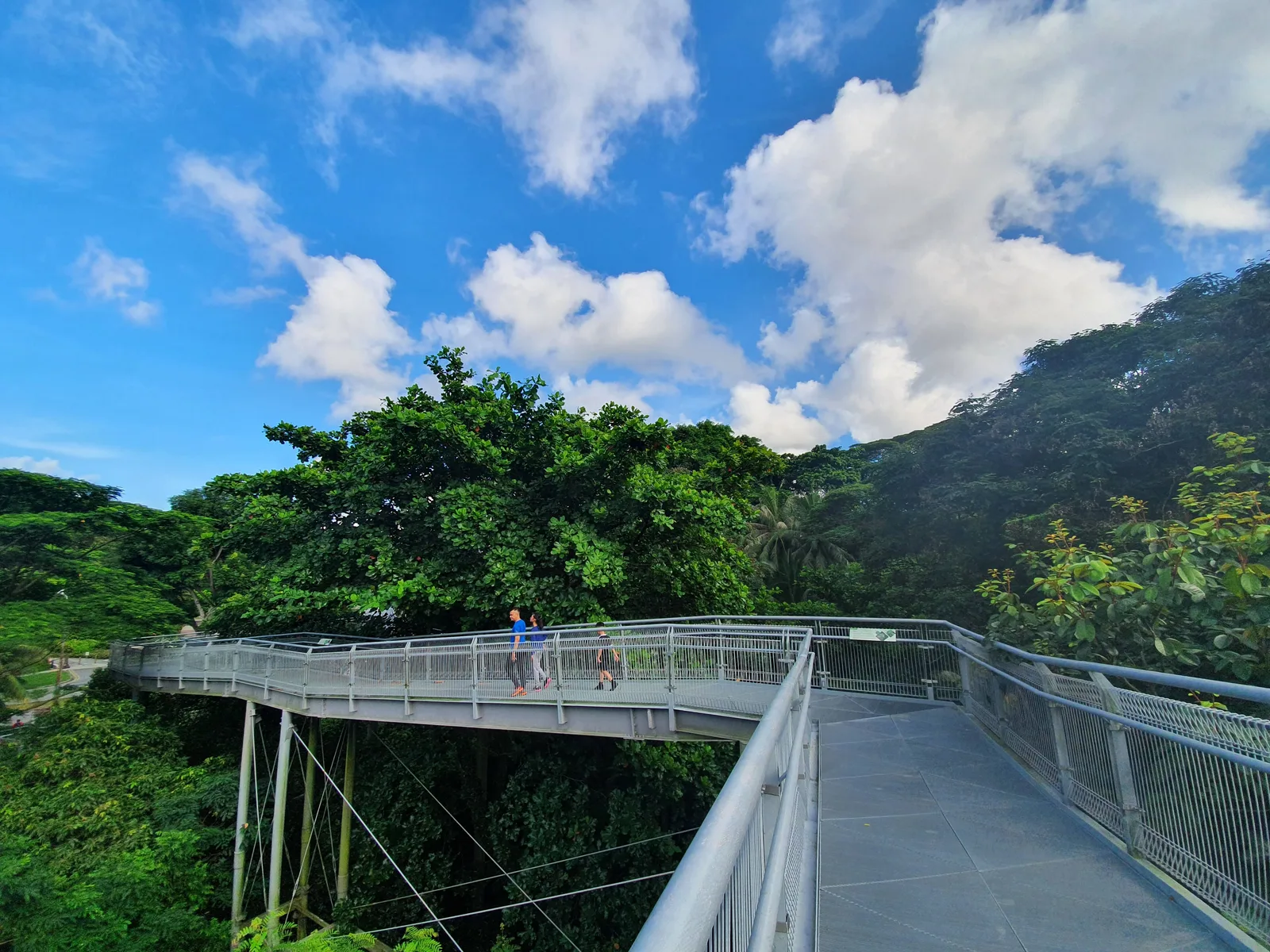 Around the area at Telok Blangah Hill Park Singapore — travel photo