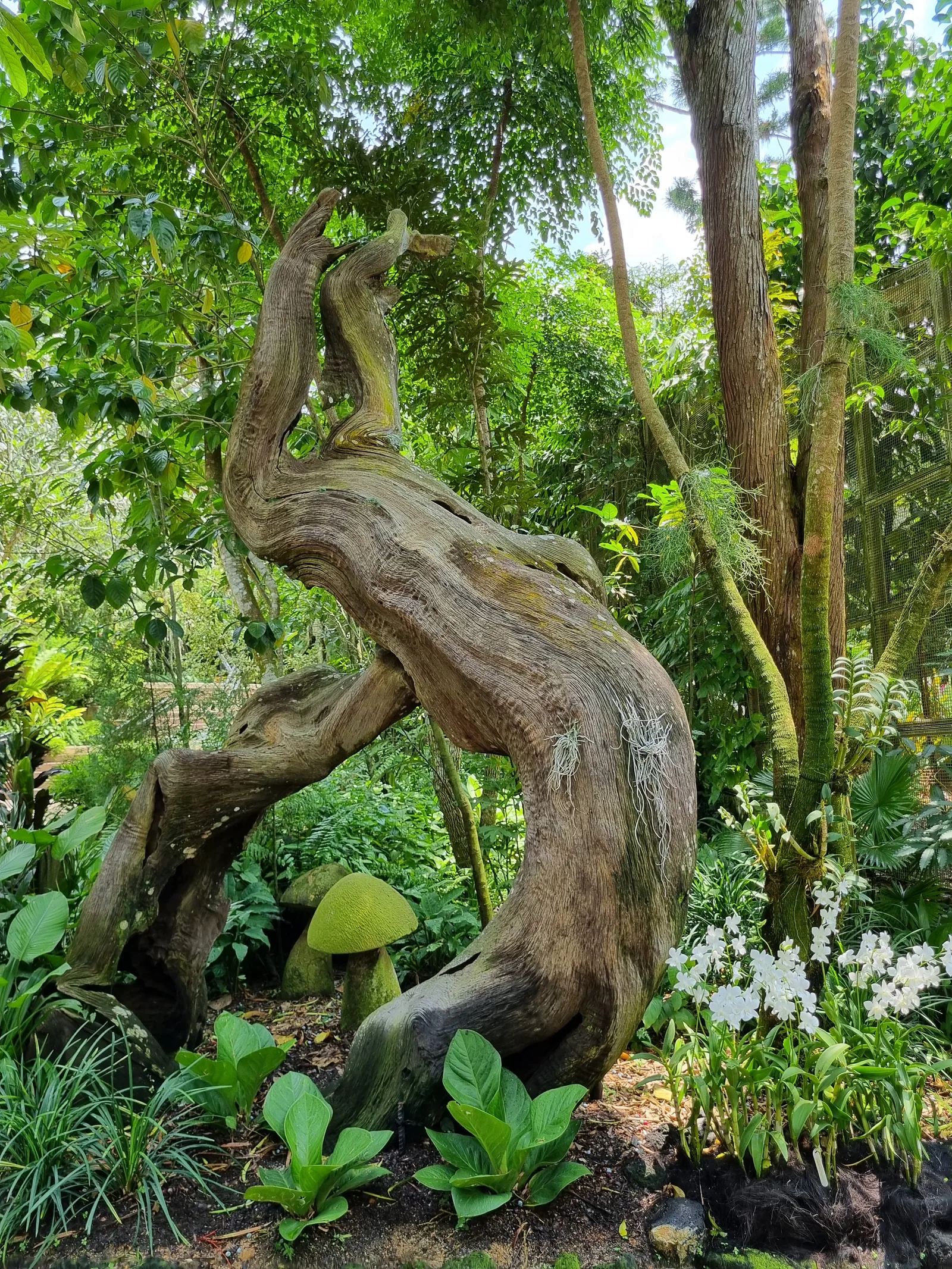 Singapore Botanic Gardens