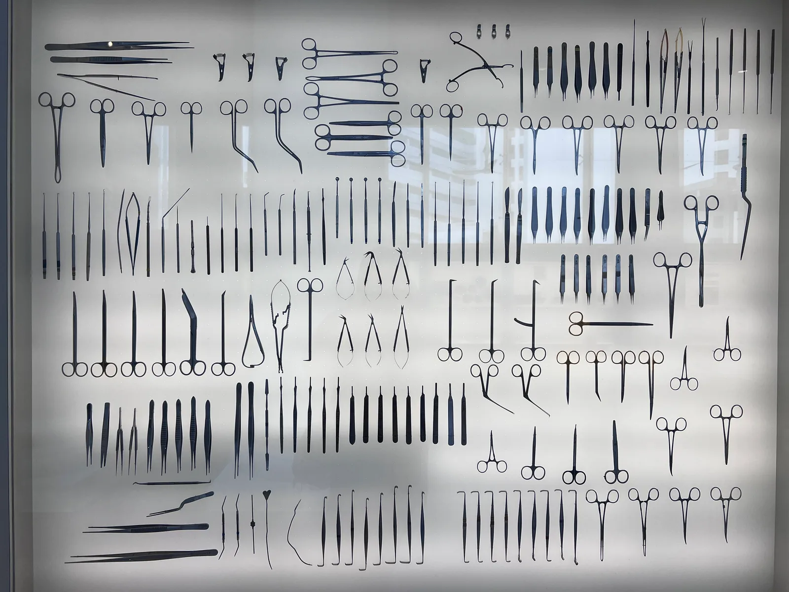 Around the area at The SGH Museum Singapore — travel photo