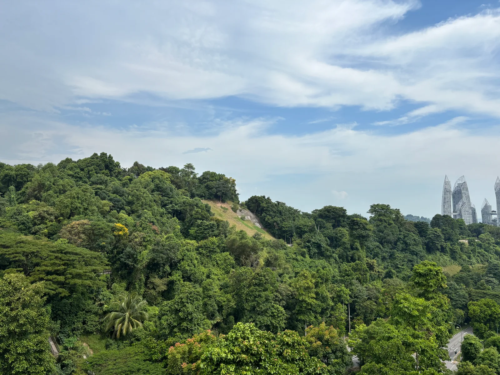 Henderson Waves — hidden gems guide Singapore