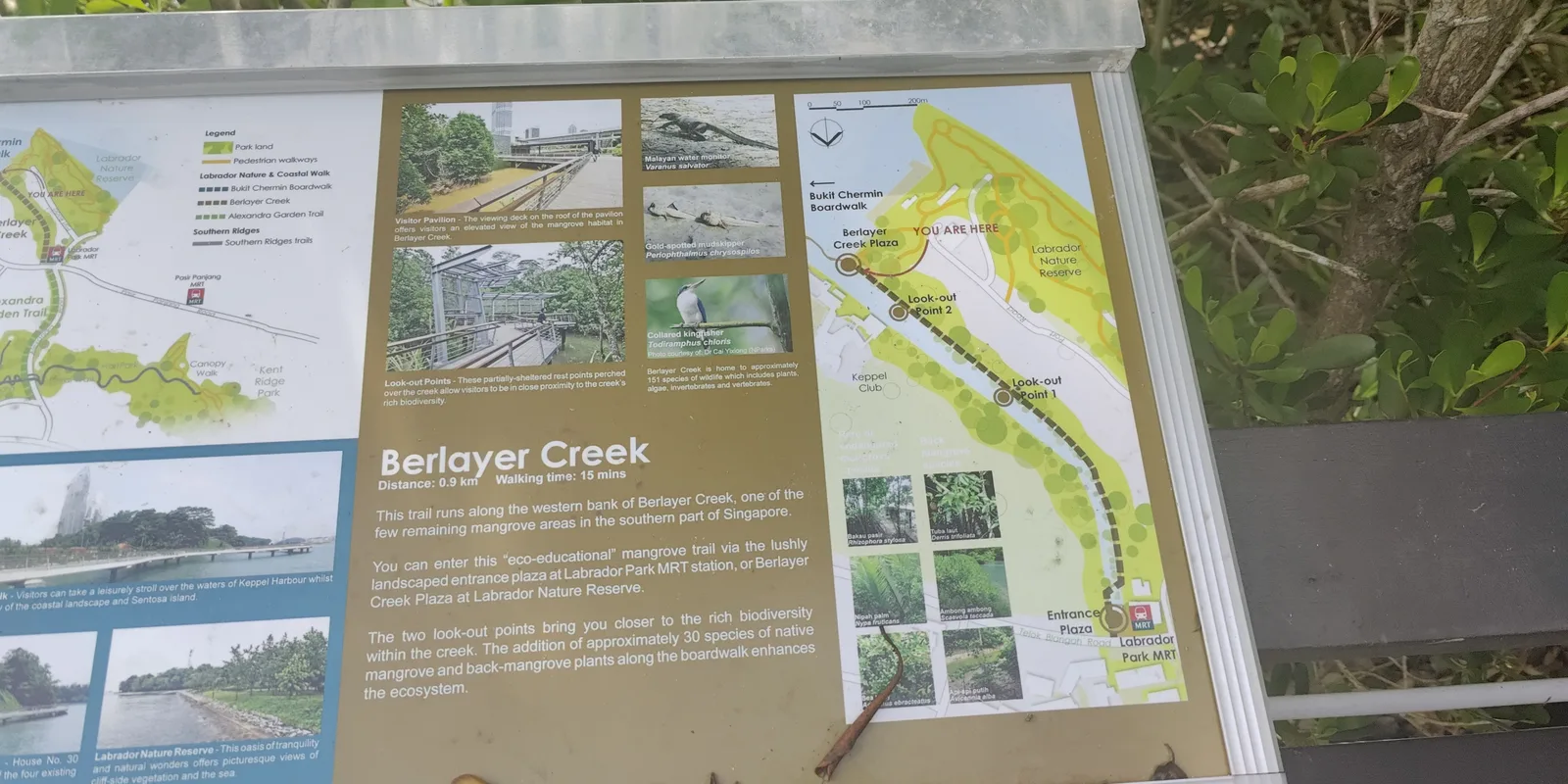 Interior at Labrador Nature Reserve Singapore — travel photo
