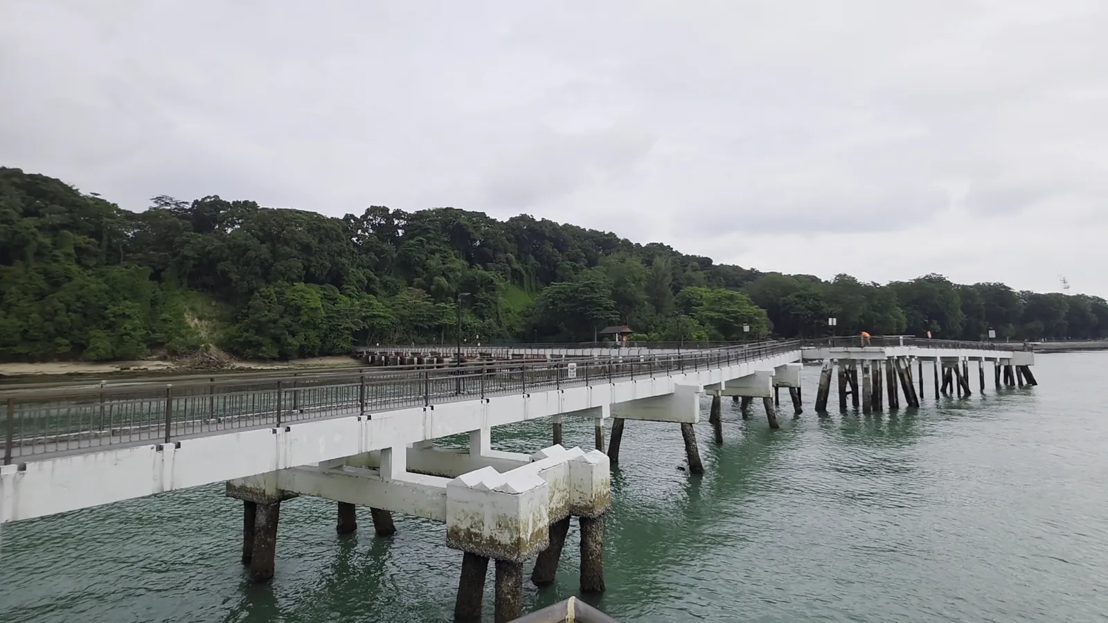 Details at Labrador Nature Reserve Singapore — travel photo