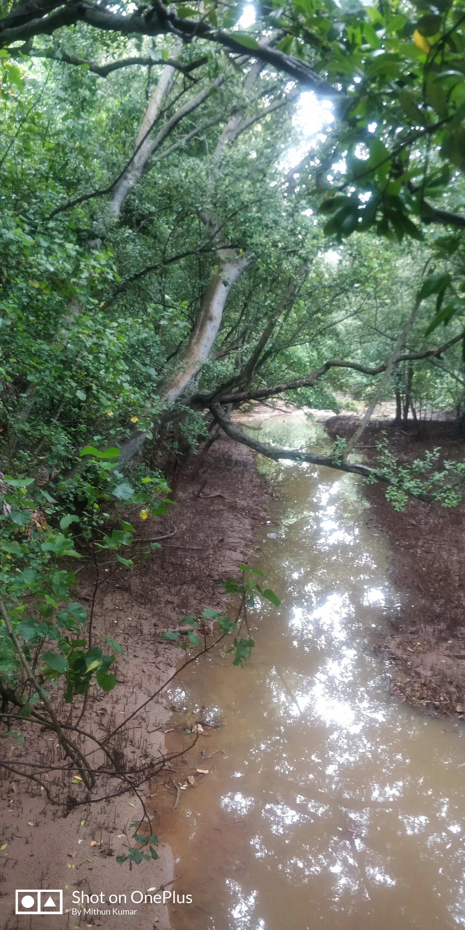 Around the area at Labrador Nature Reserve Singapore — travel photo