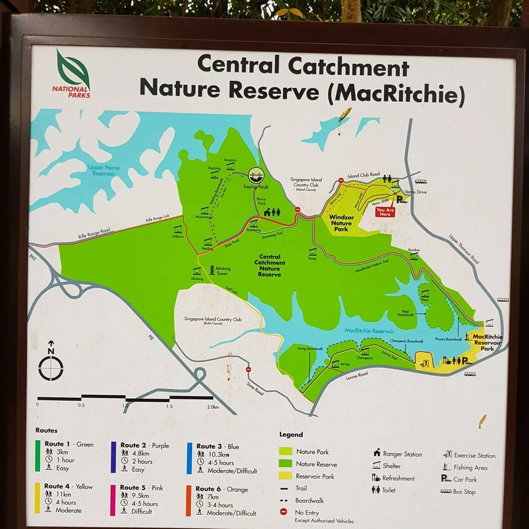 Interior at Macritchie Treetop Walk Trailhead Singapore — travel photo