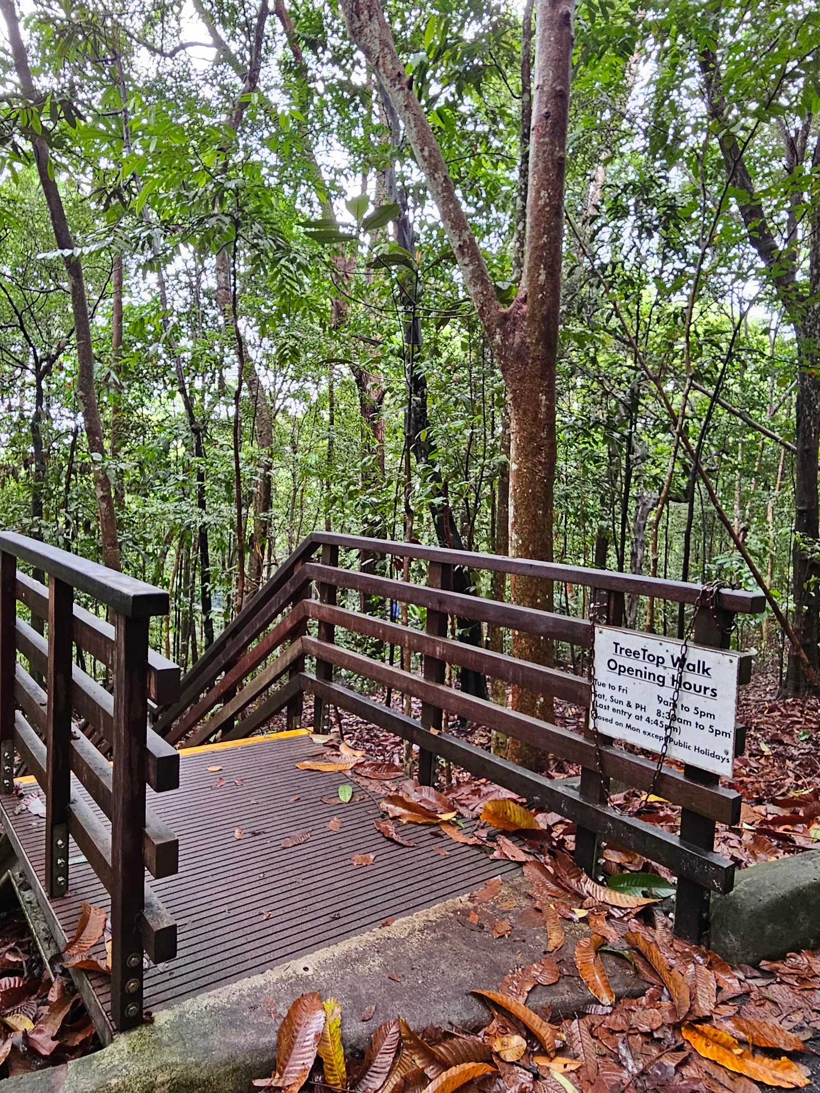 Atmosphere at Macritchie Treetop Walk Trailhead Singapore — travel photo