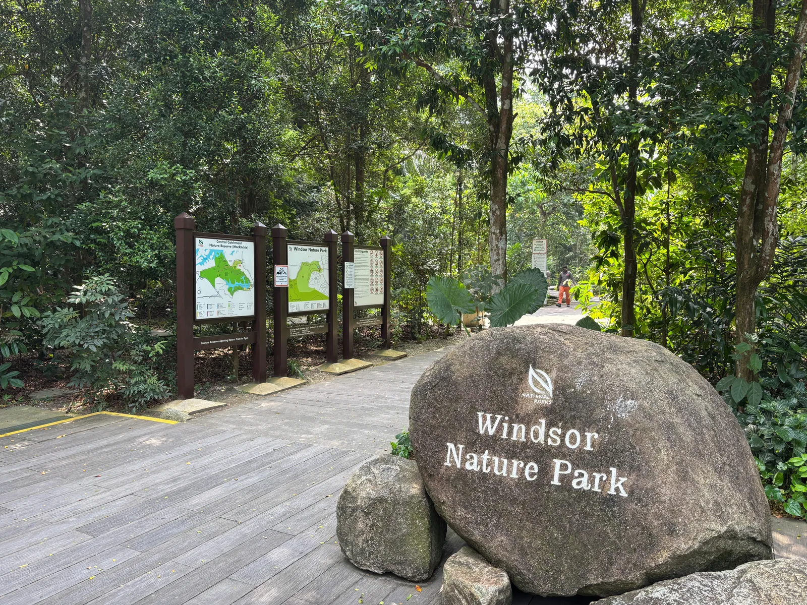 Macritchie Treetop Walk Trailhead β hidden gems guide Singapore