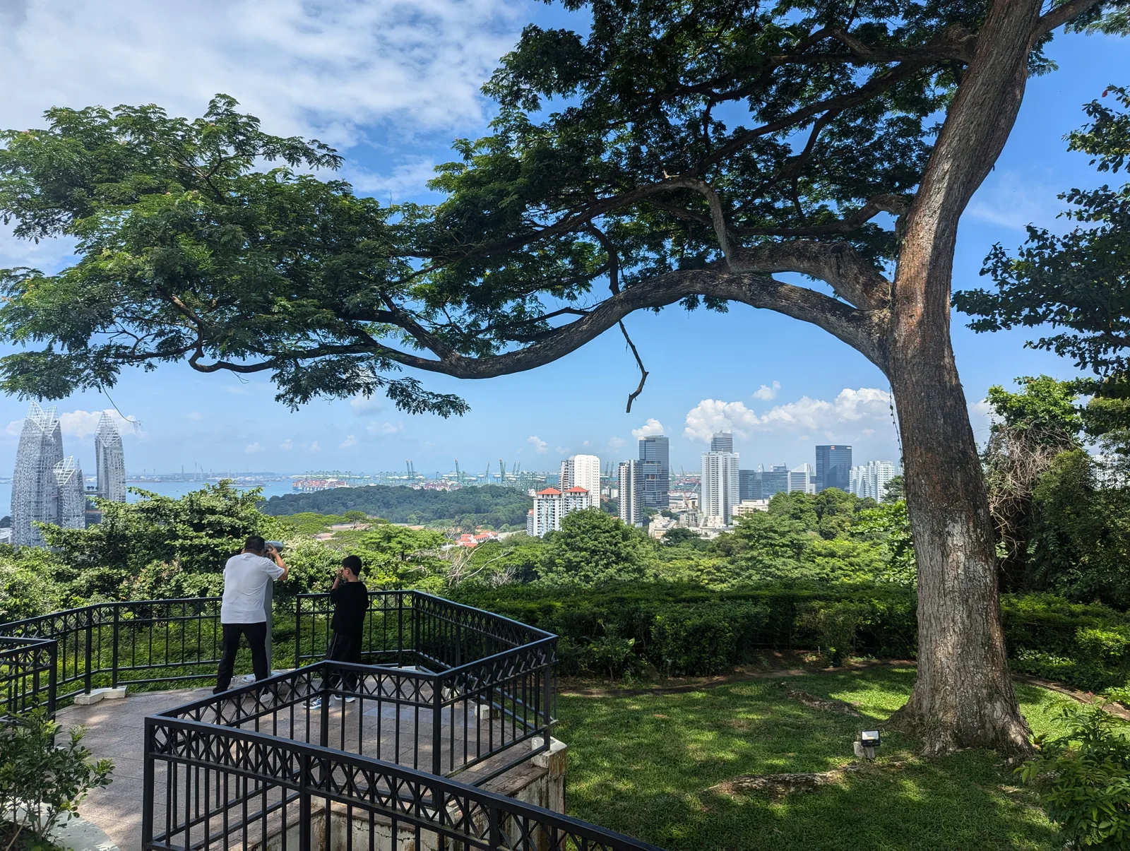 Details at Mount Faber Park Singapore — travel photo