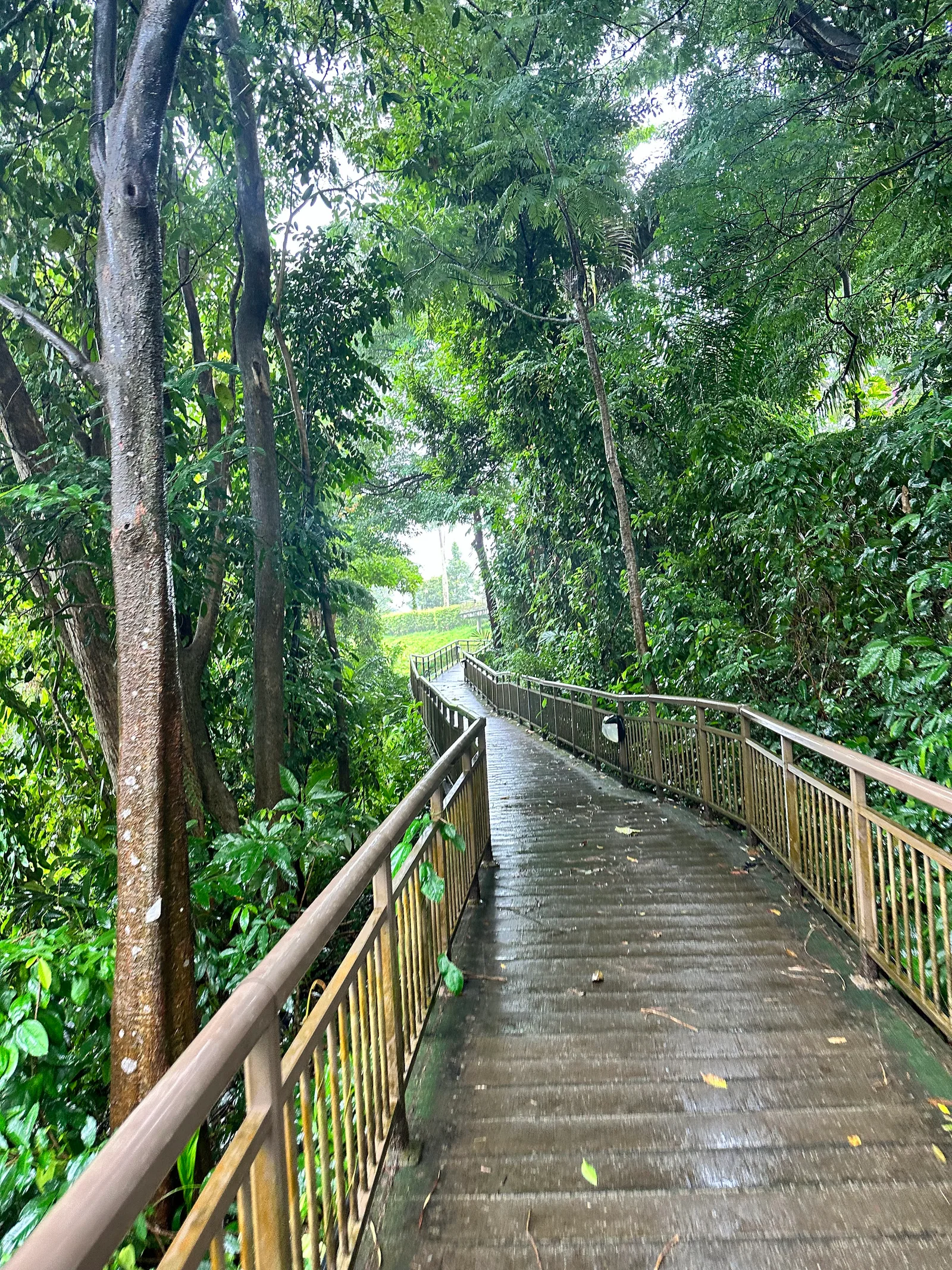 Around the area at Mount Faber Park Singapore — travel photo