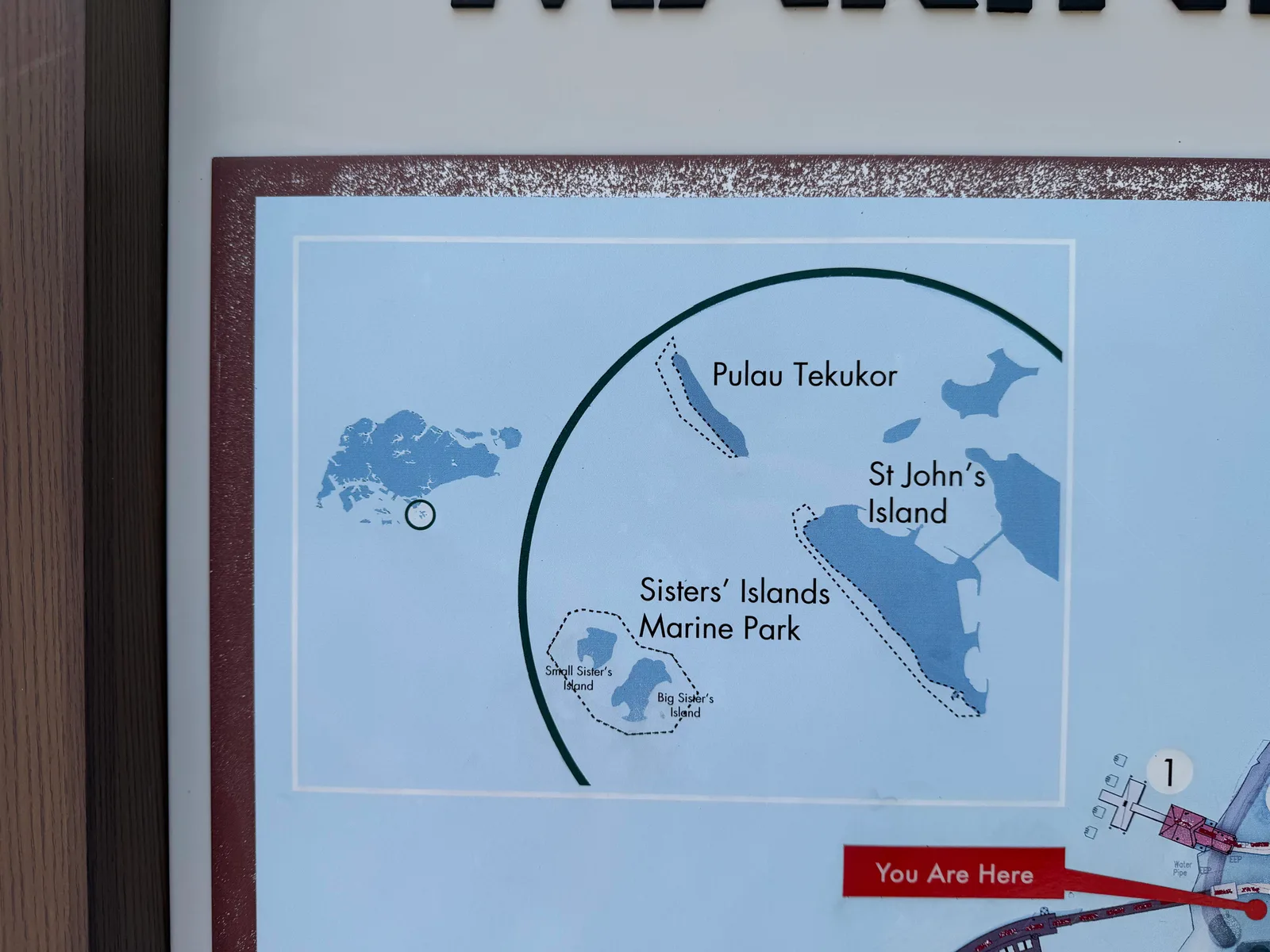 Details at Sisters’ Islands Marine Park Singapore — travel photo