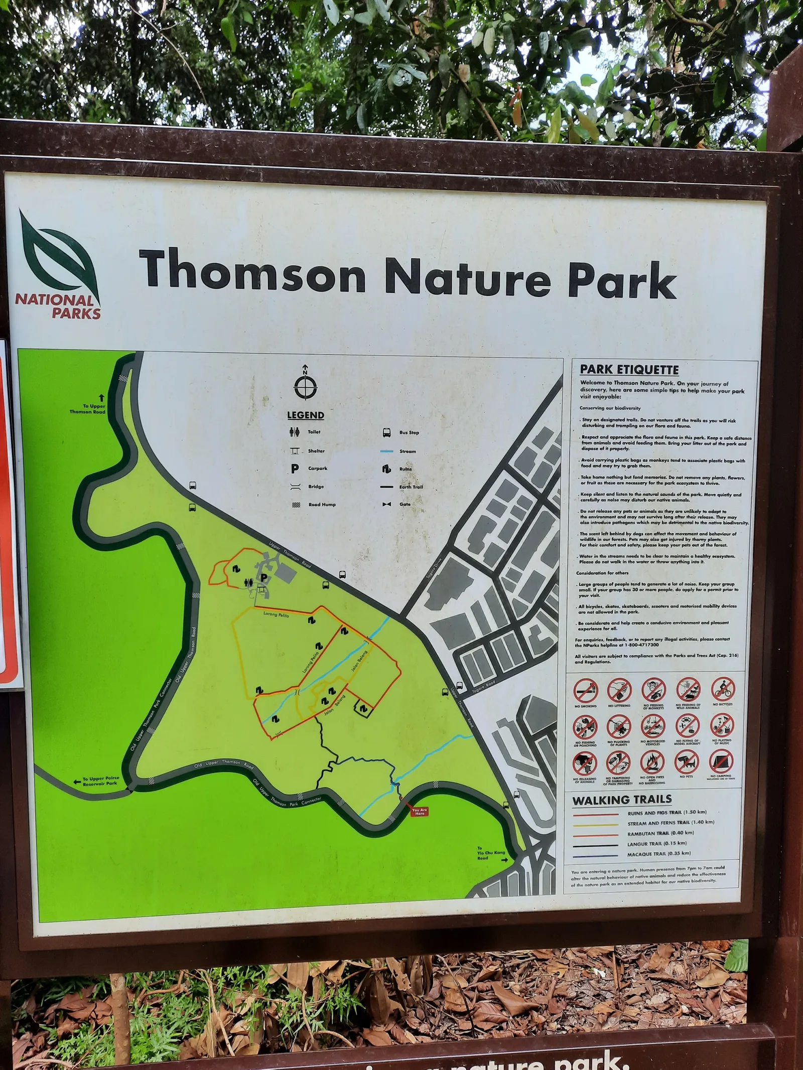 Interior at Thomson Nature Park Singapore — travel photo