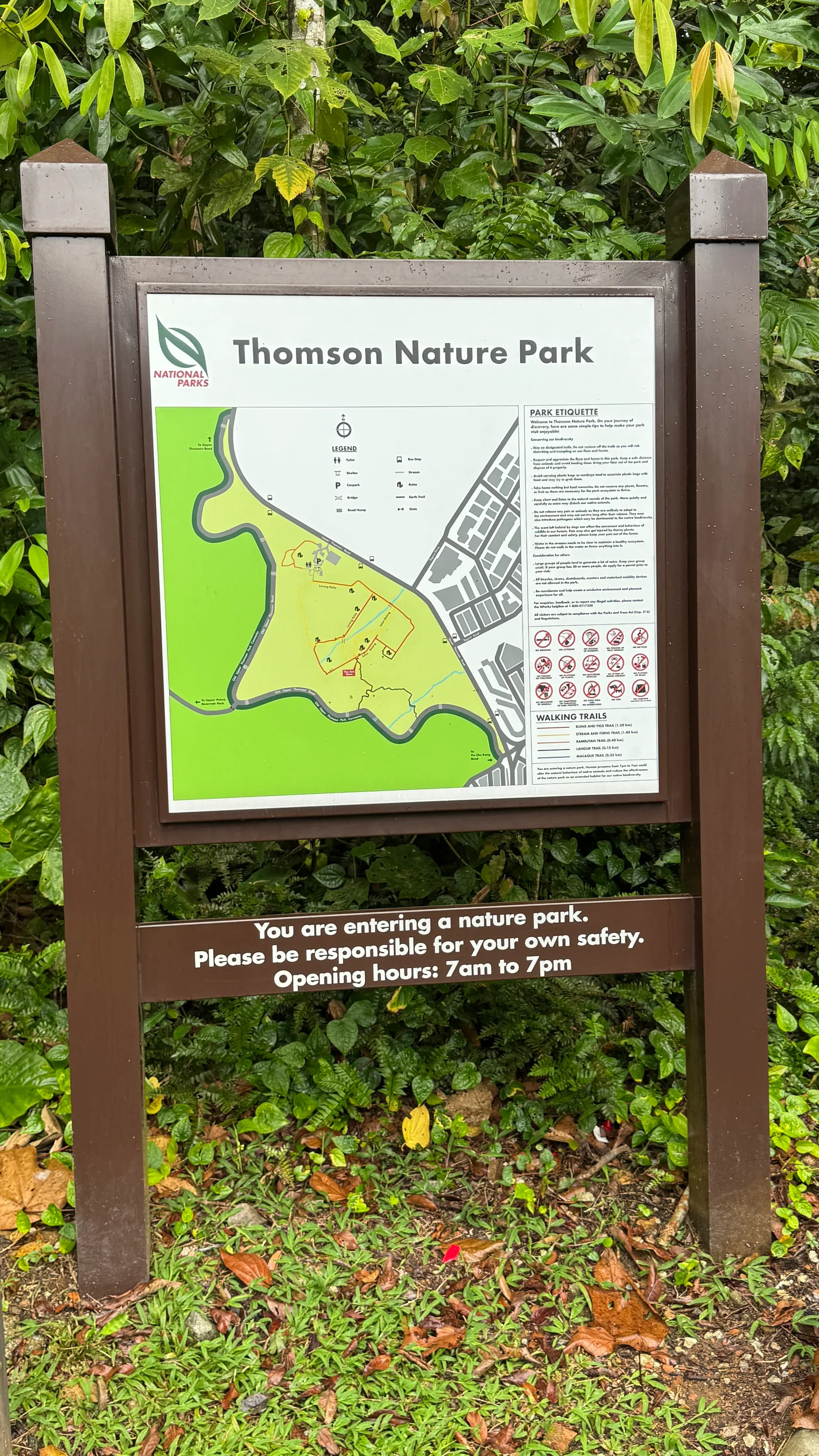 Atmosphere at Thomson Nature Park Singapore — travel photo