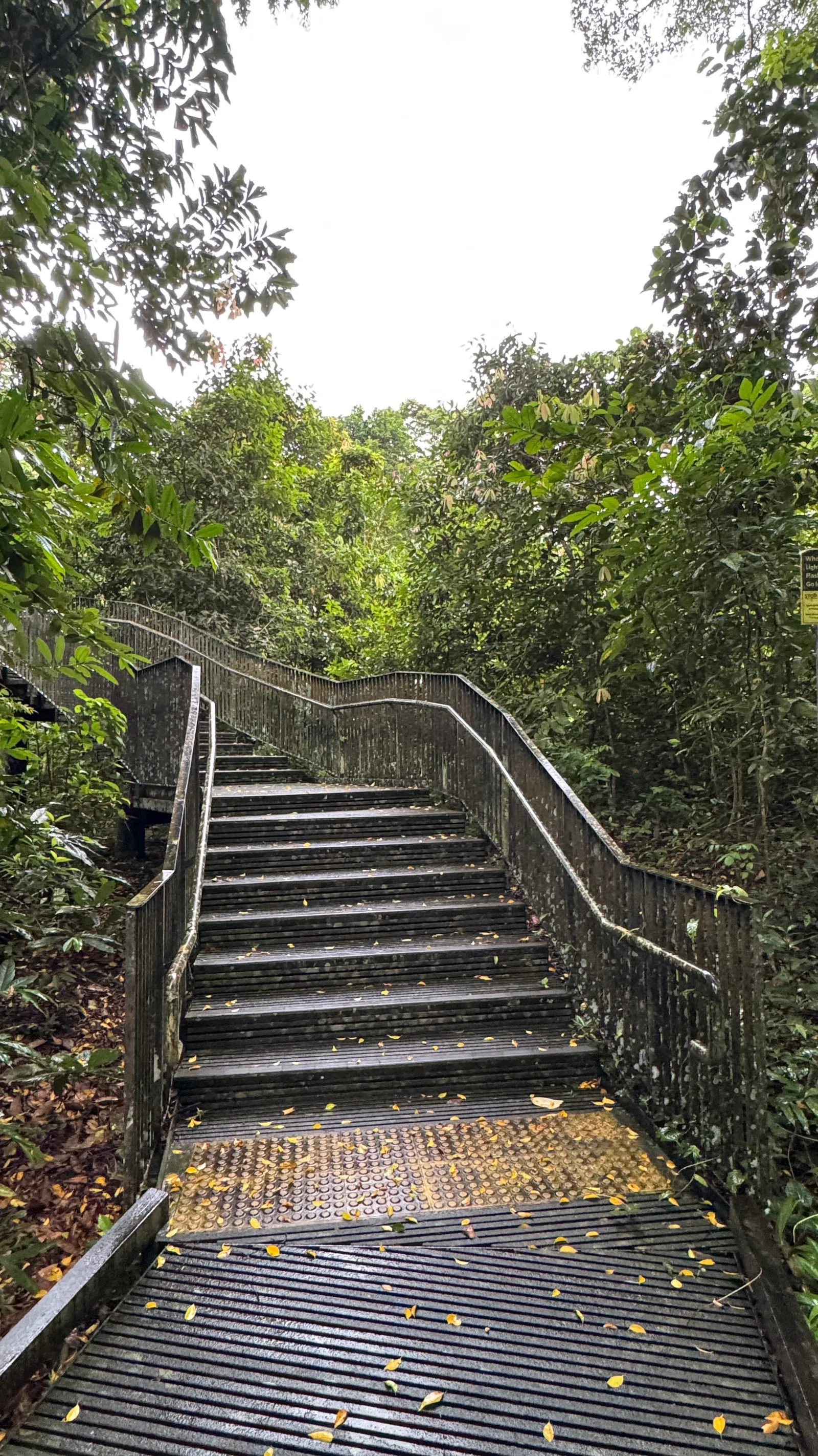 Around the area at Thomson Nature Park Singapore — travel photo