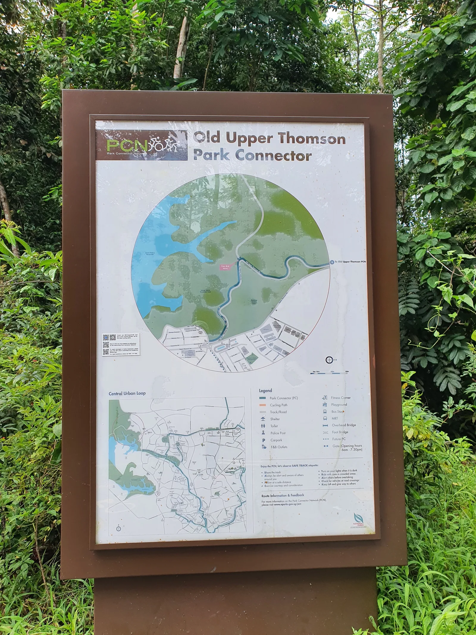 Interior at Upper Peirce Reservoir Park Singapore — travel photo